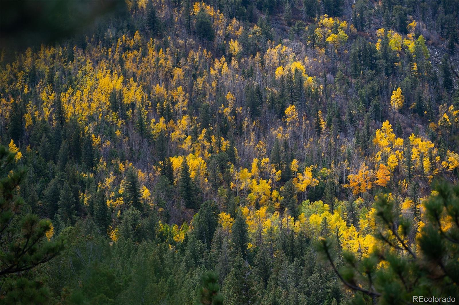 8077 Drew Hill Road Golden CO 80403