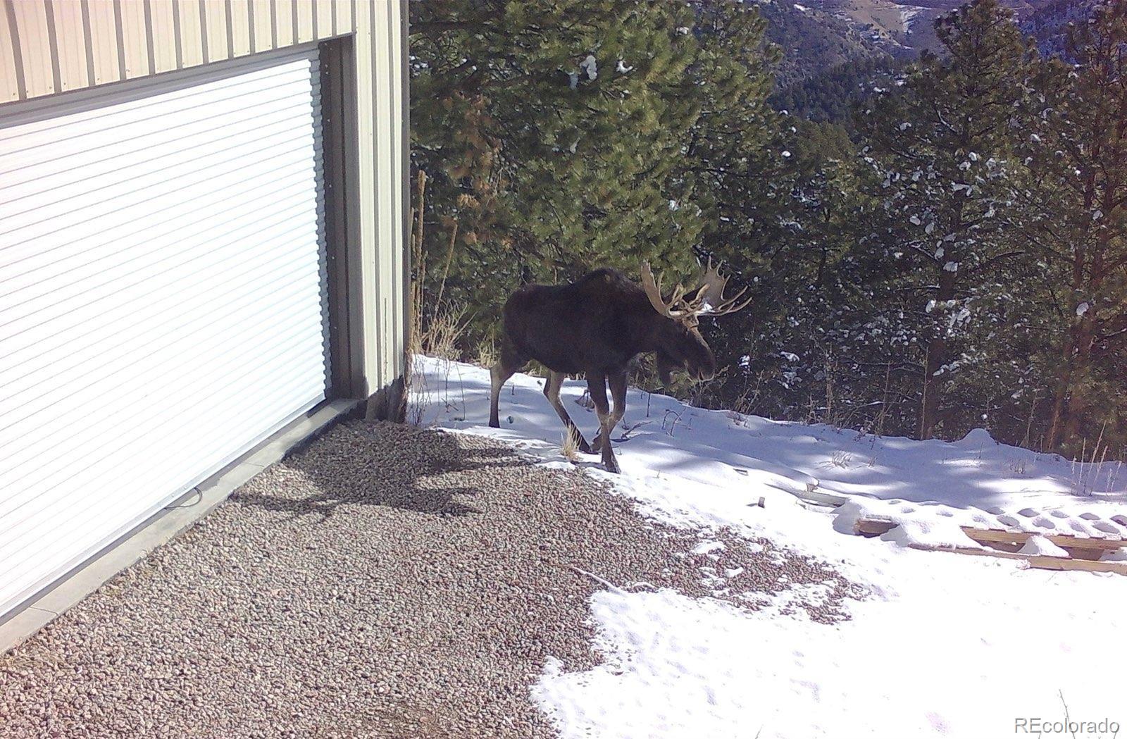 8077 Drew Hill Road Golden CO 80403