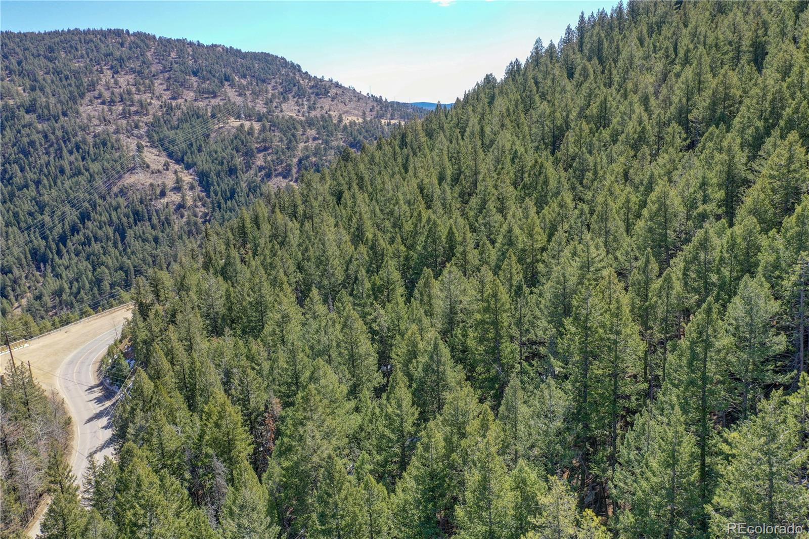 00 Saddleback Evergreen CO 80439