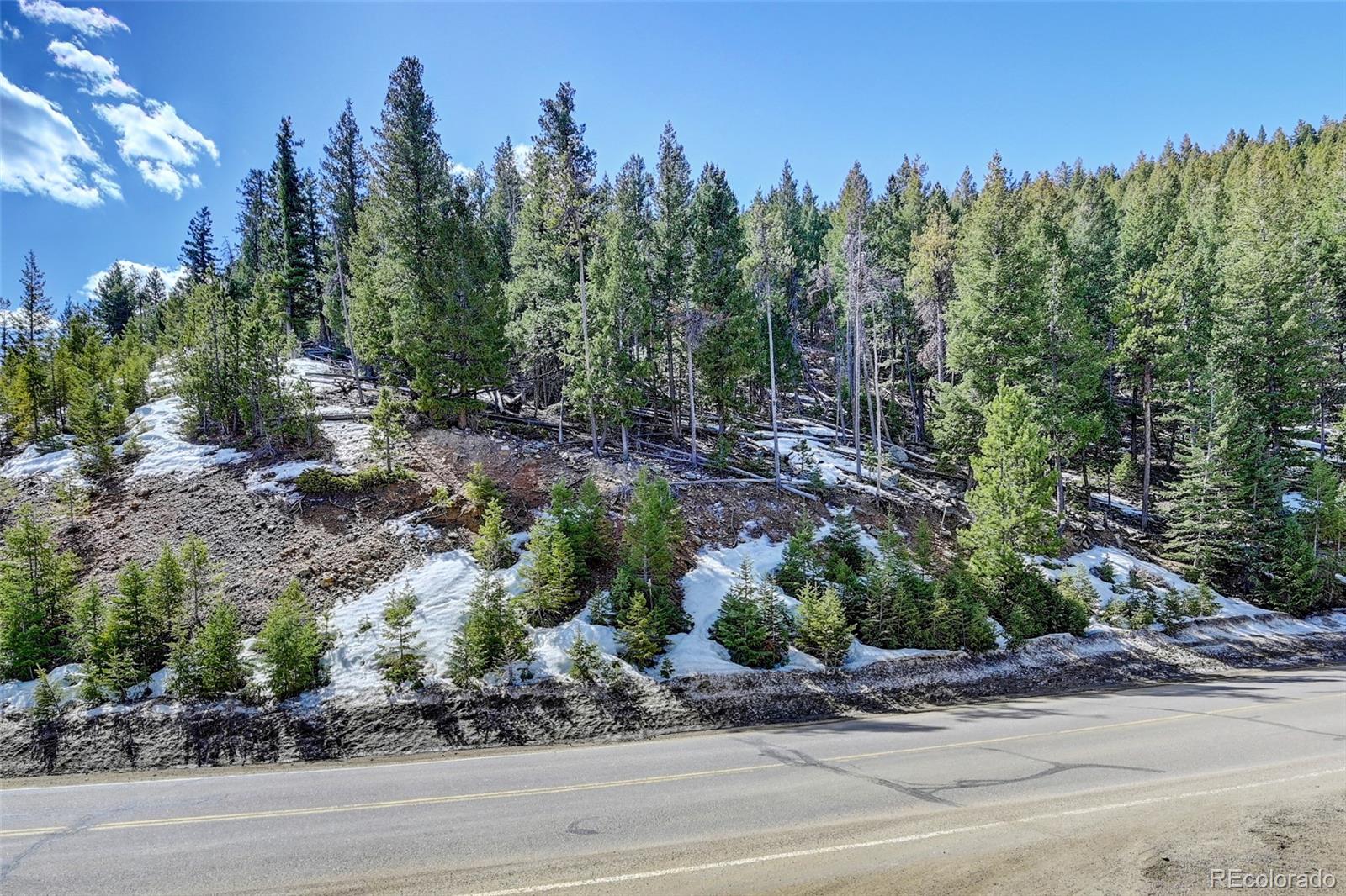 00 Saddleback Evergreen CO 80439