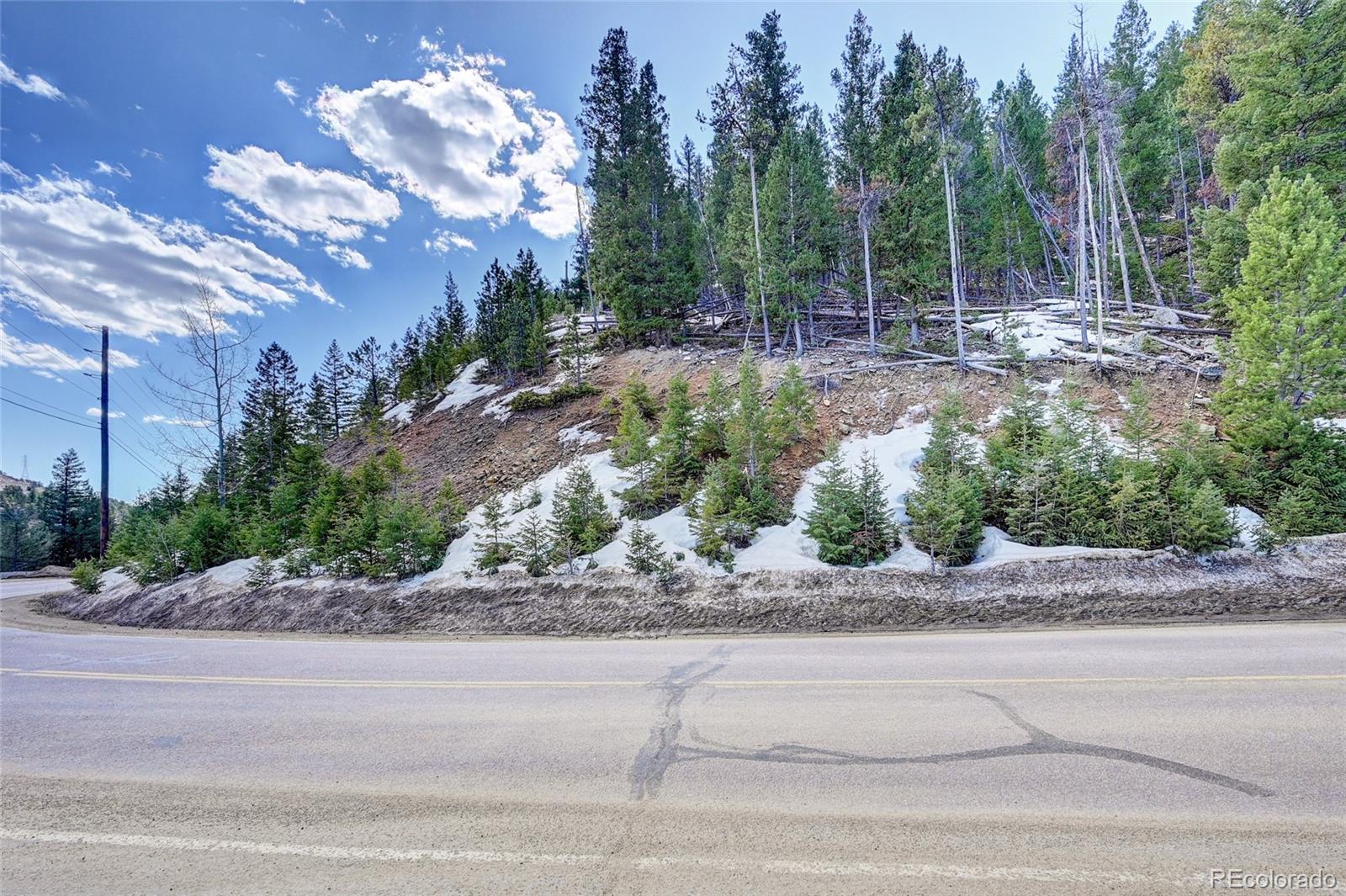 00 Saddleback Evergreen CO 80439