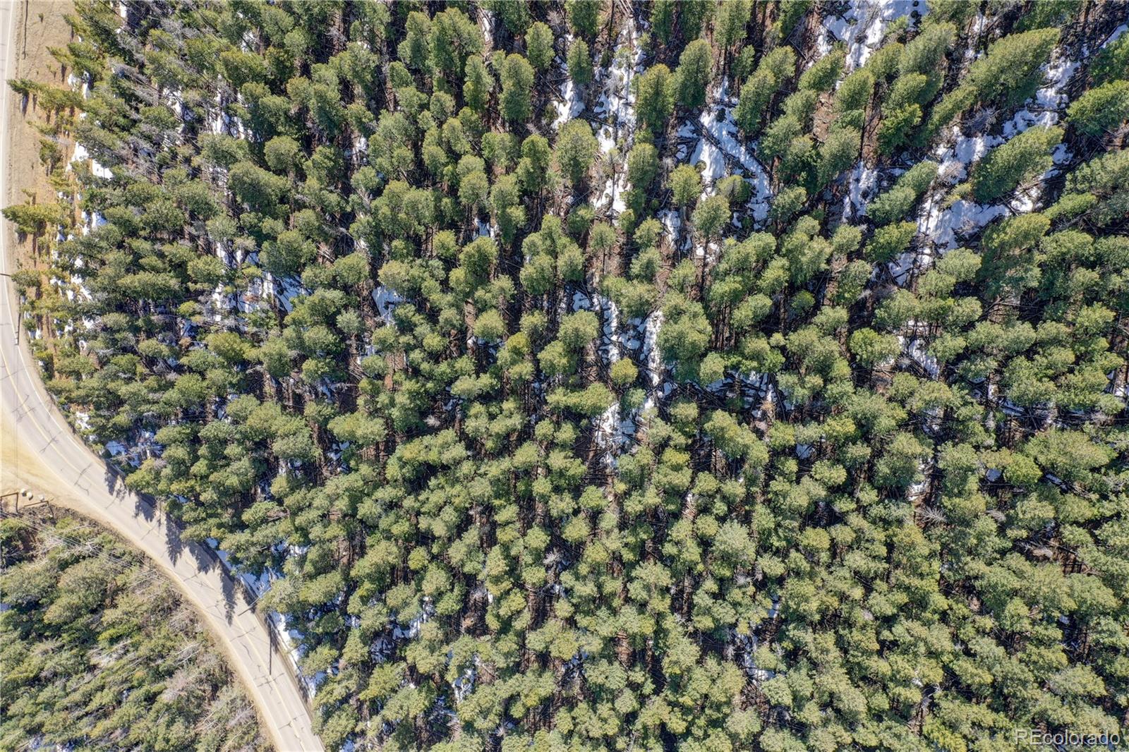00 Saddleback Evergreen CO 80439