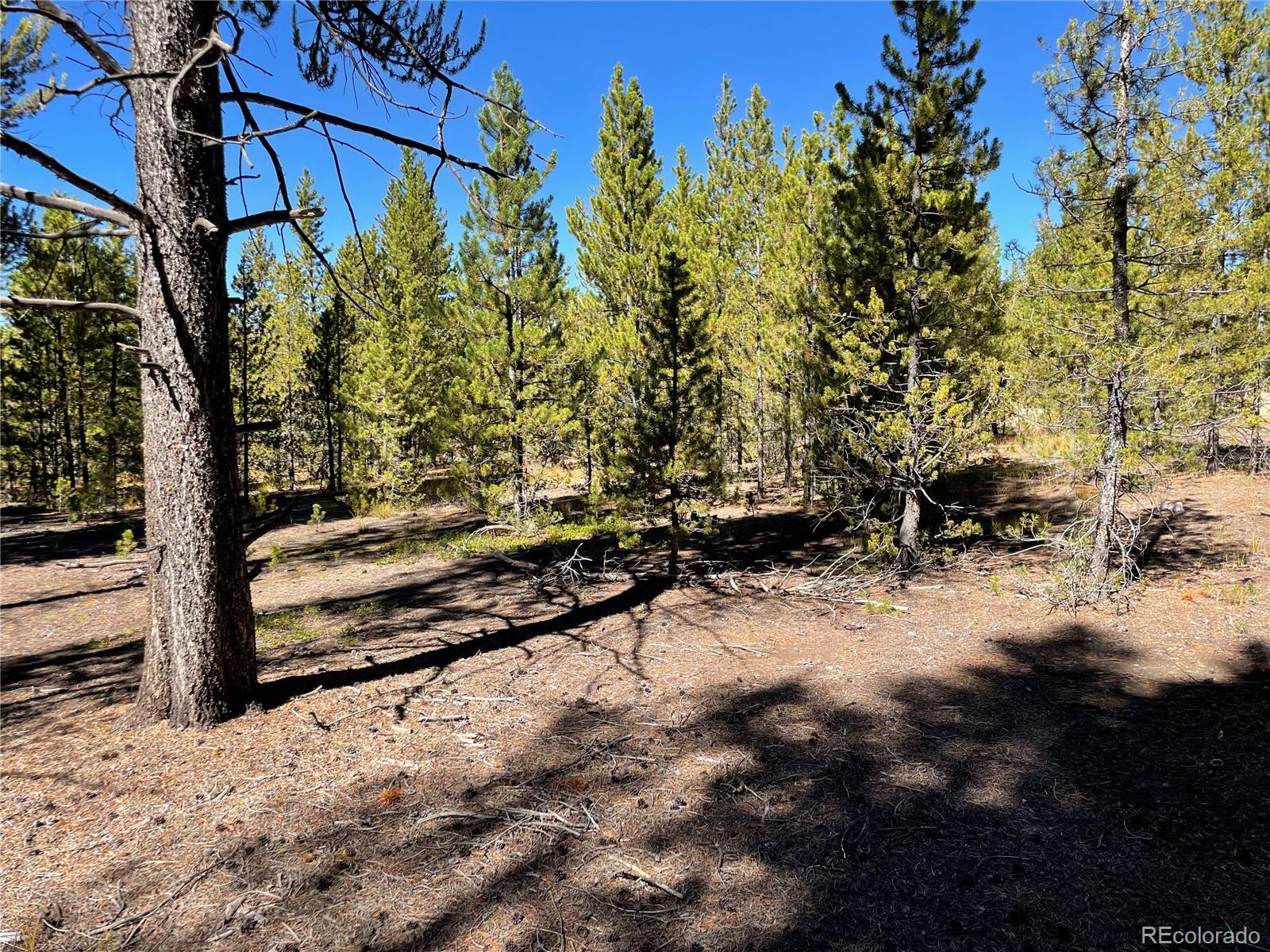 451 Virginia Avenue Leadville CO 80461