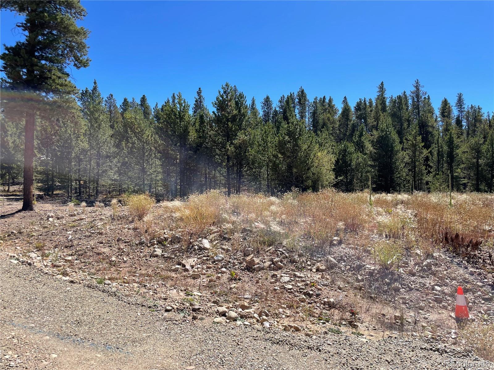 451 Virginia Avenue Leadville CO 80461