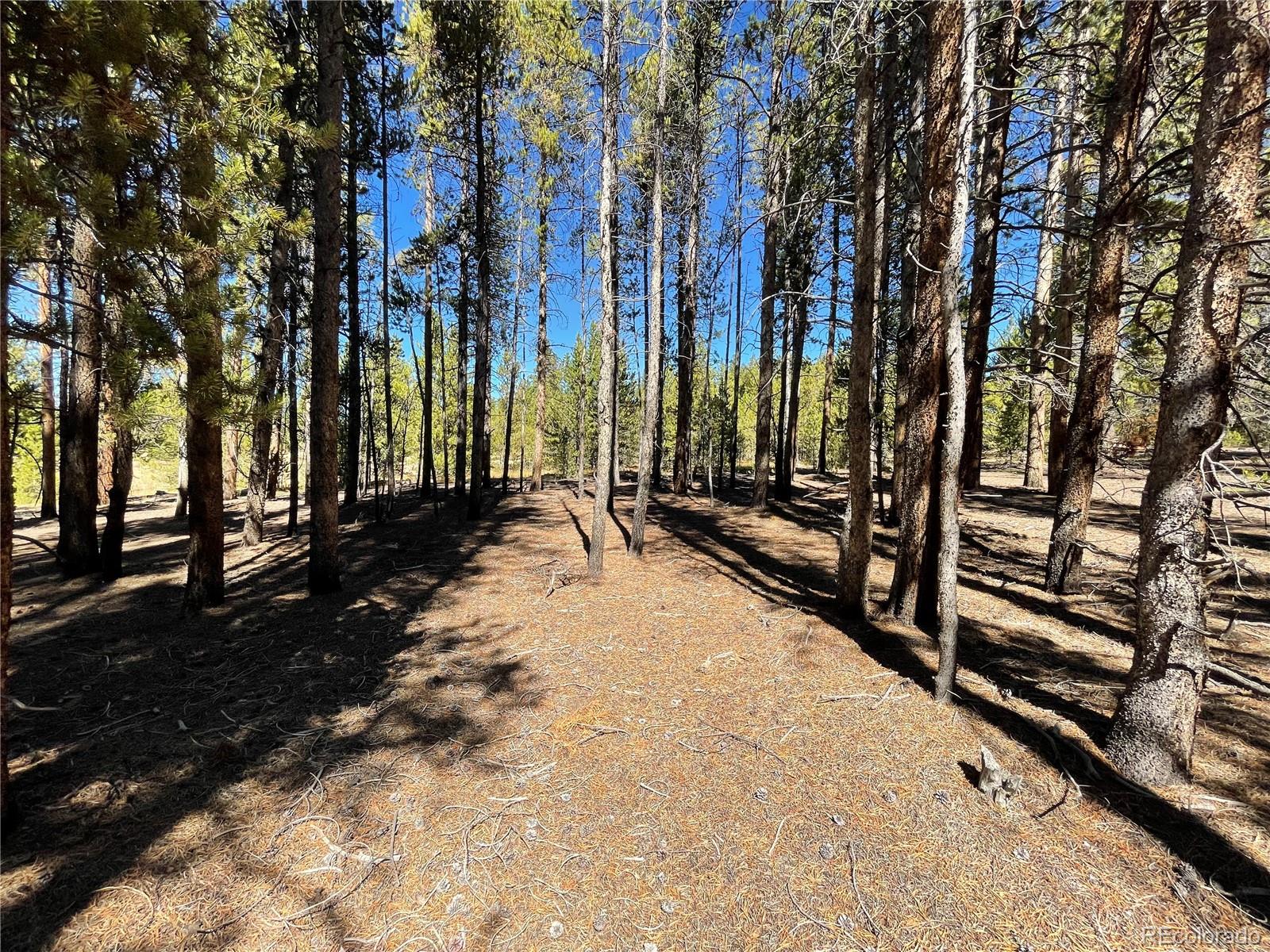 451 Virginia Avenue Leadville CO 80461