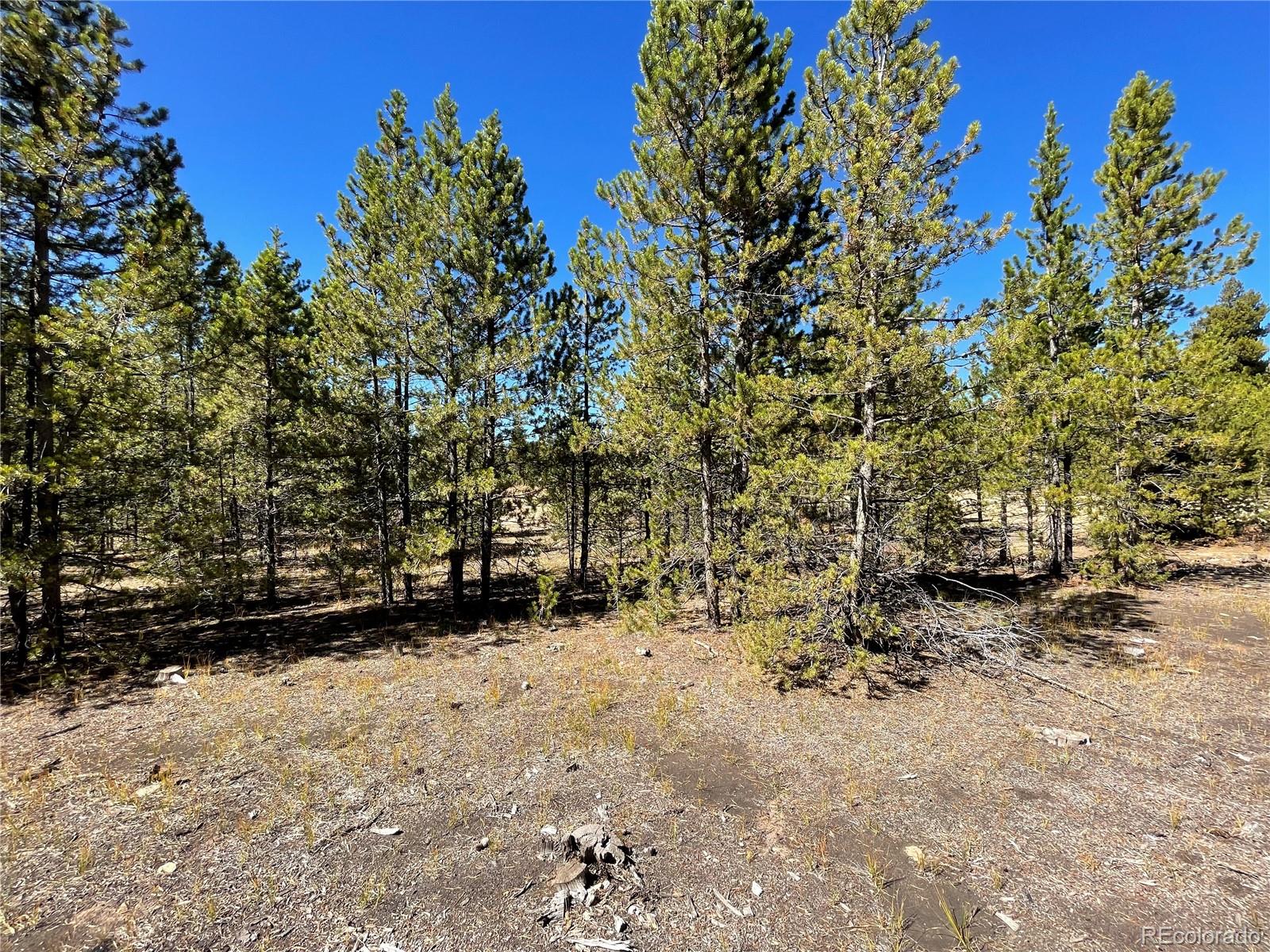 451 Virginia Avenue Leadville CO 80461