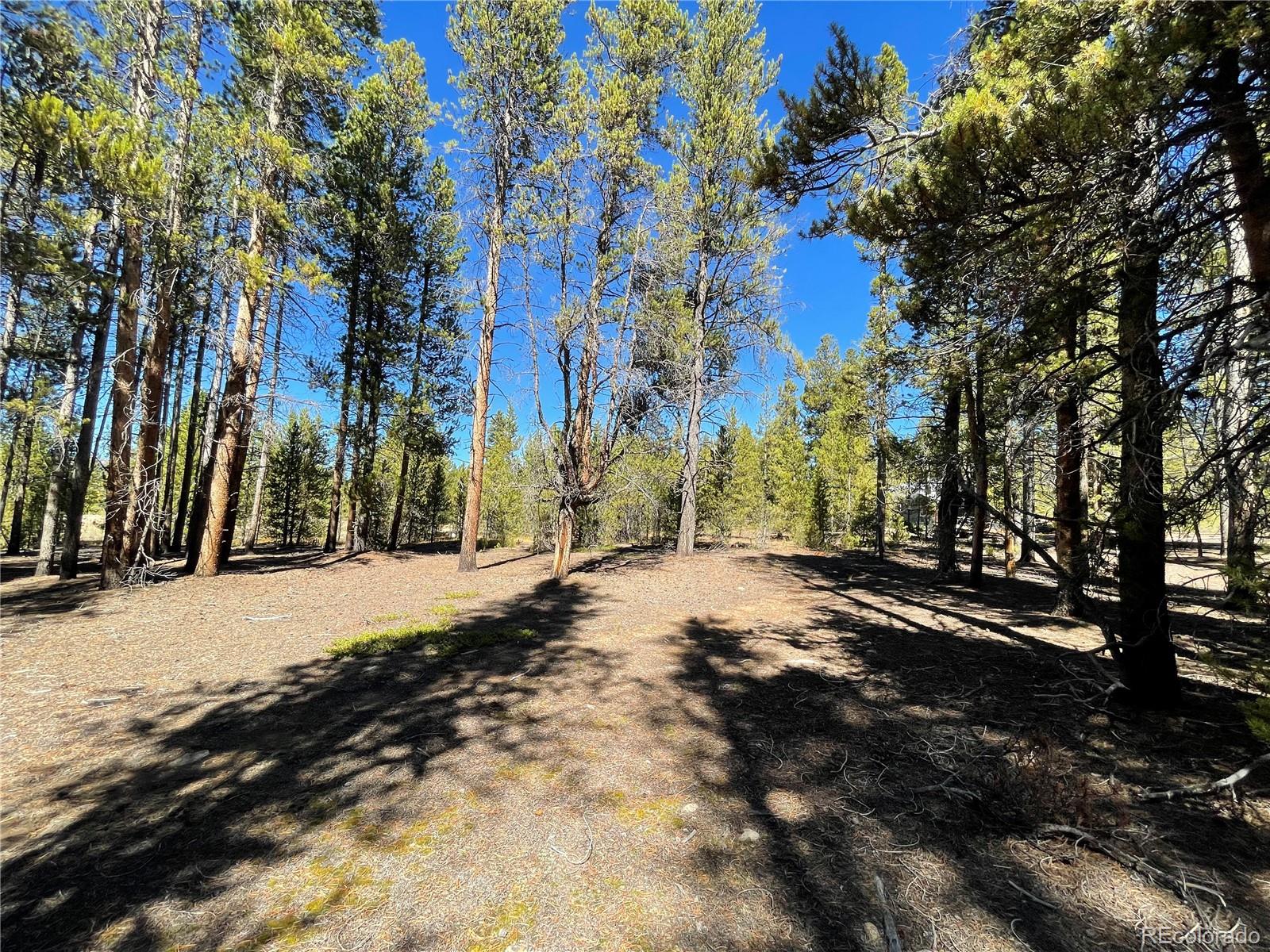 451 Virginia Avenue Leadville CO 80461