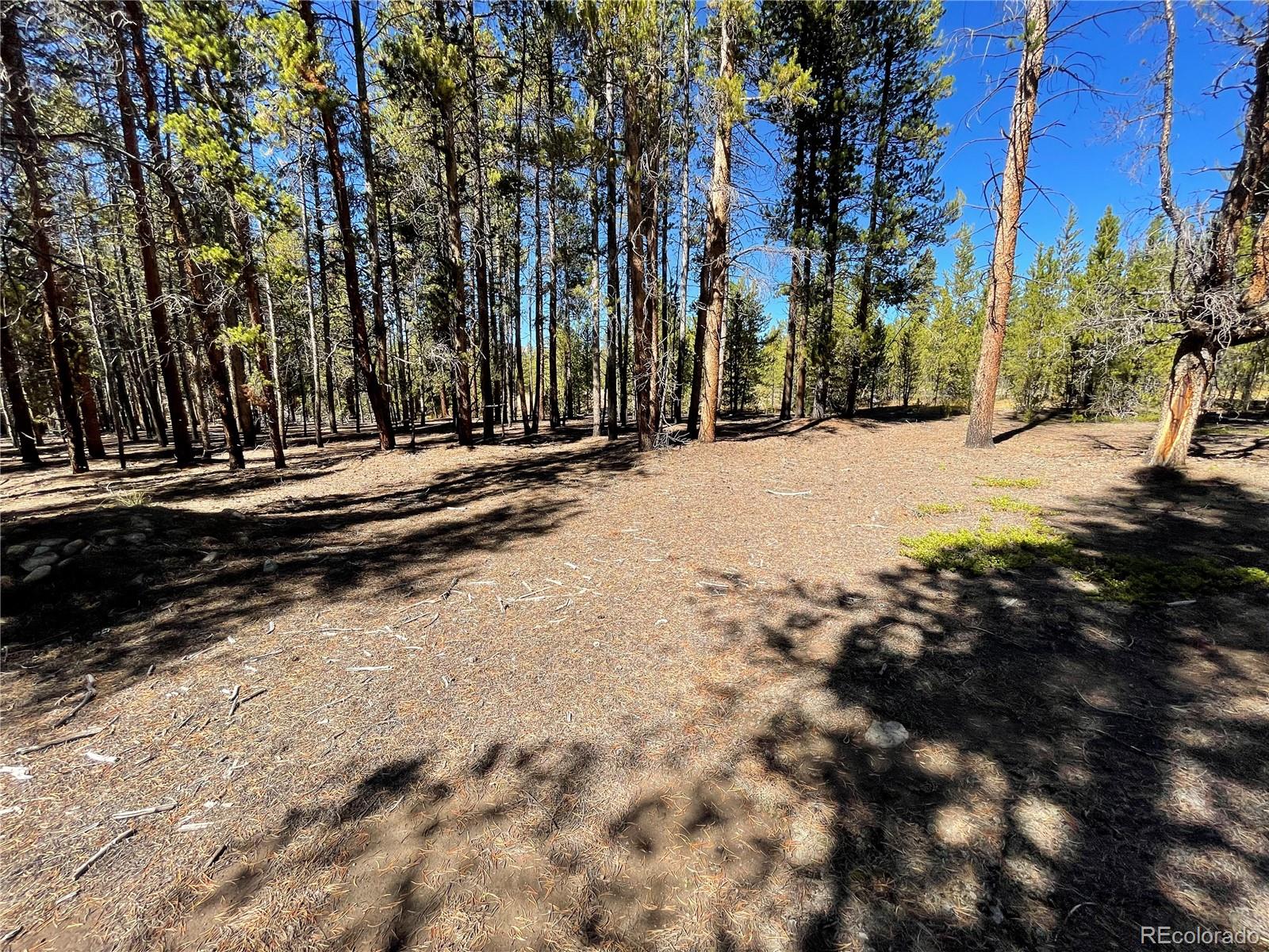 451 Virginia Avenue Leadville CO 80461