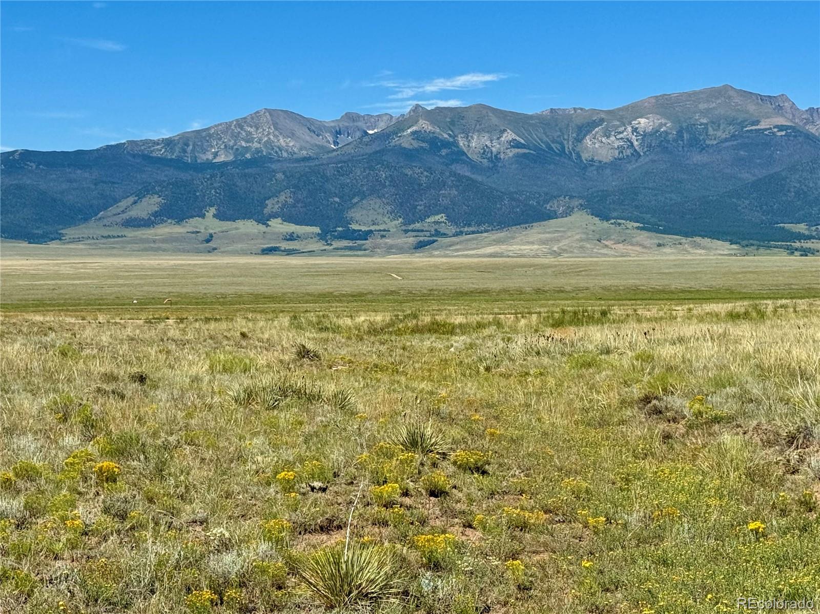 875 Beech Boulevard Westcliffe CO 81252