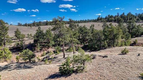 Lot 5090 & 5097 Arikara Hartsel CO 80449