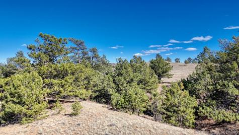Lot 5090 & 5097 Arikara Hartsel CO 80449