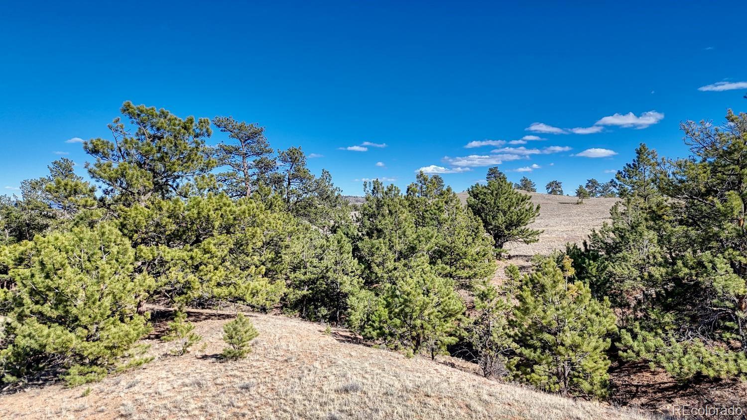 Lot 5090 & 5097 Arikara Hartsel CO 80449