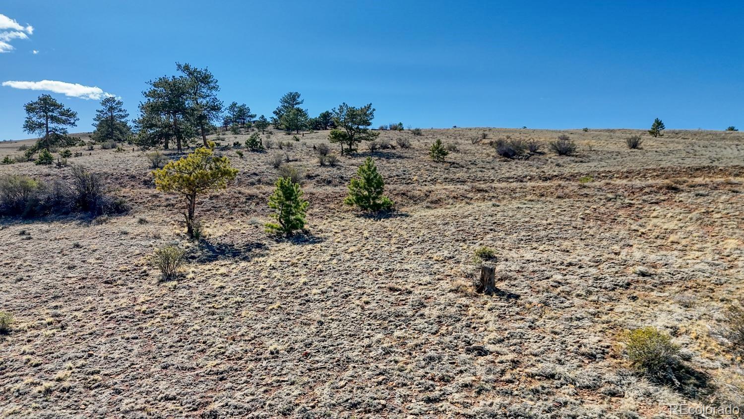 Lot 5090 & 5097 Arikara Hartsel CO 80449