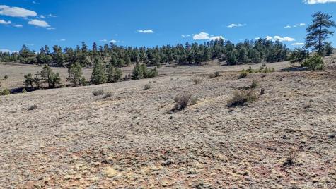 Lot 5090 & 5097 Arikara Hartsel CO 80449