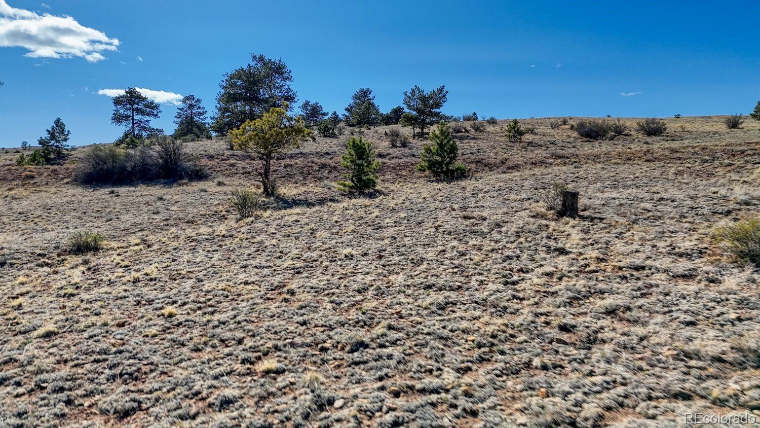 Lot 5090 & 5097 Arikara Hartsel CO 80449