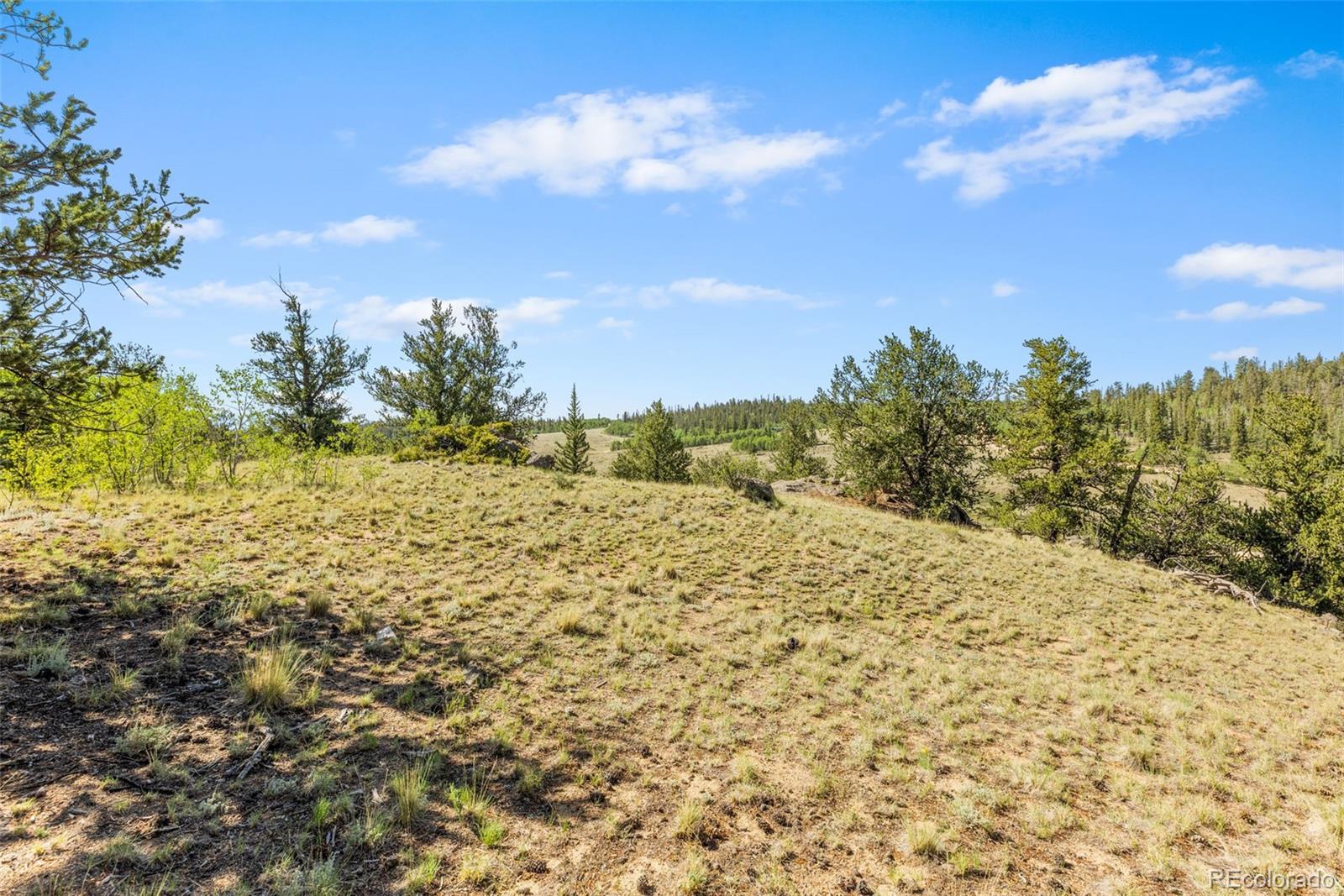4588 Remington Road Jefferson CO 80456