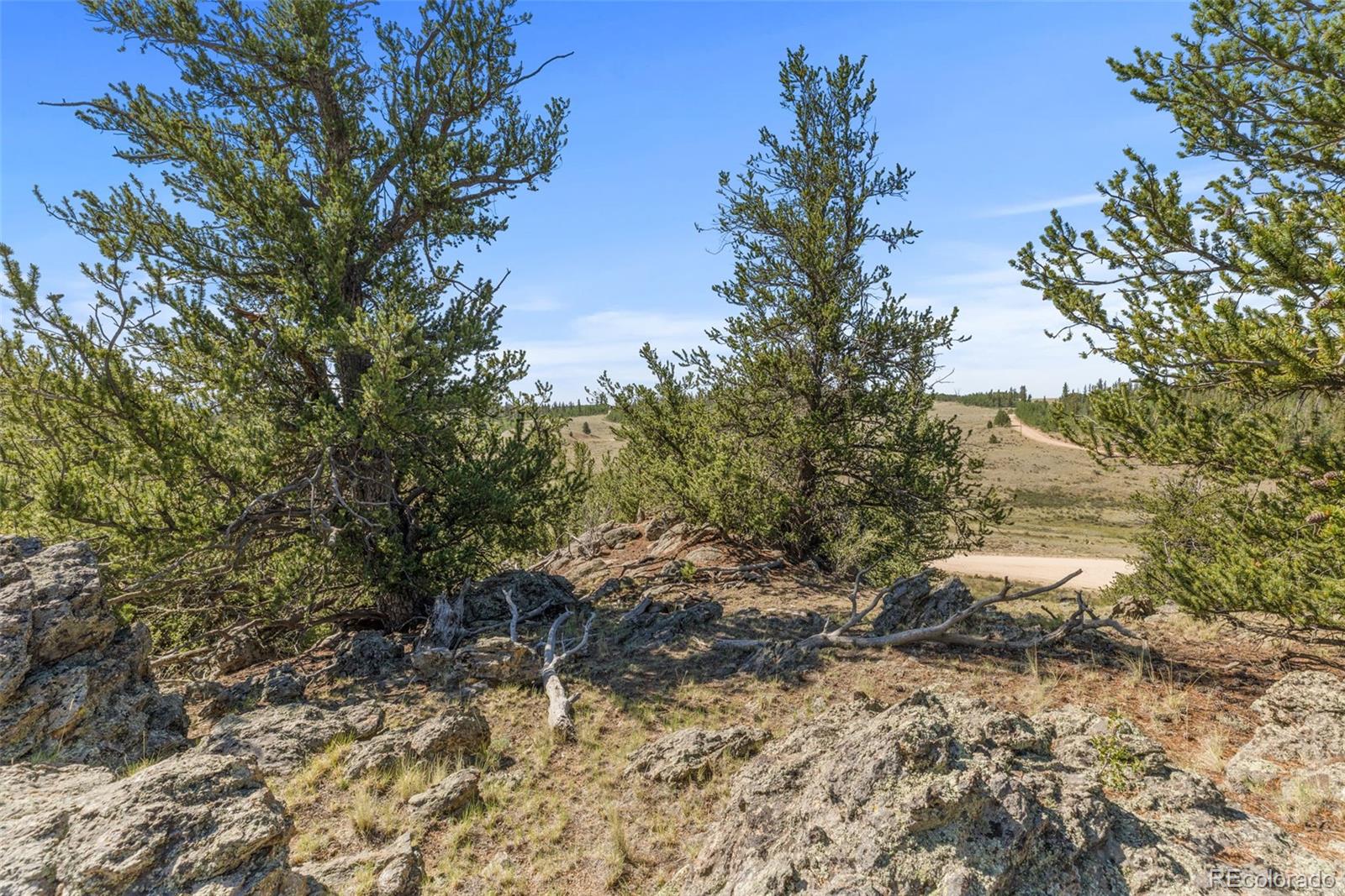 4588 Remington Road Jefferson CO 80456