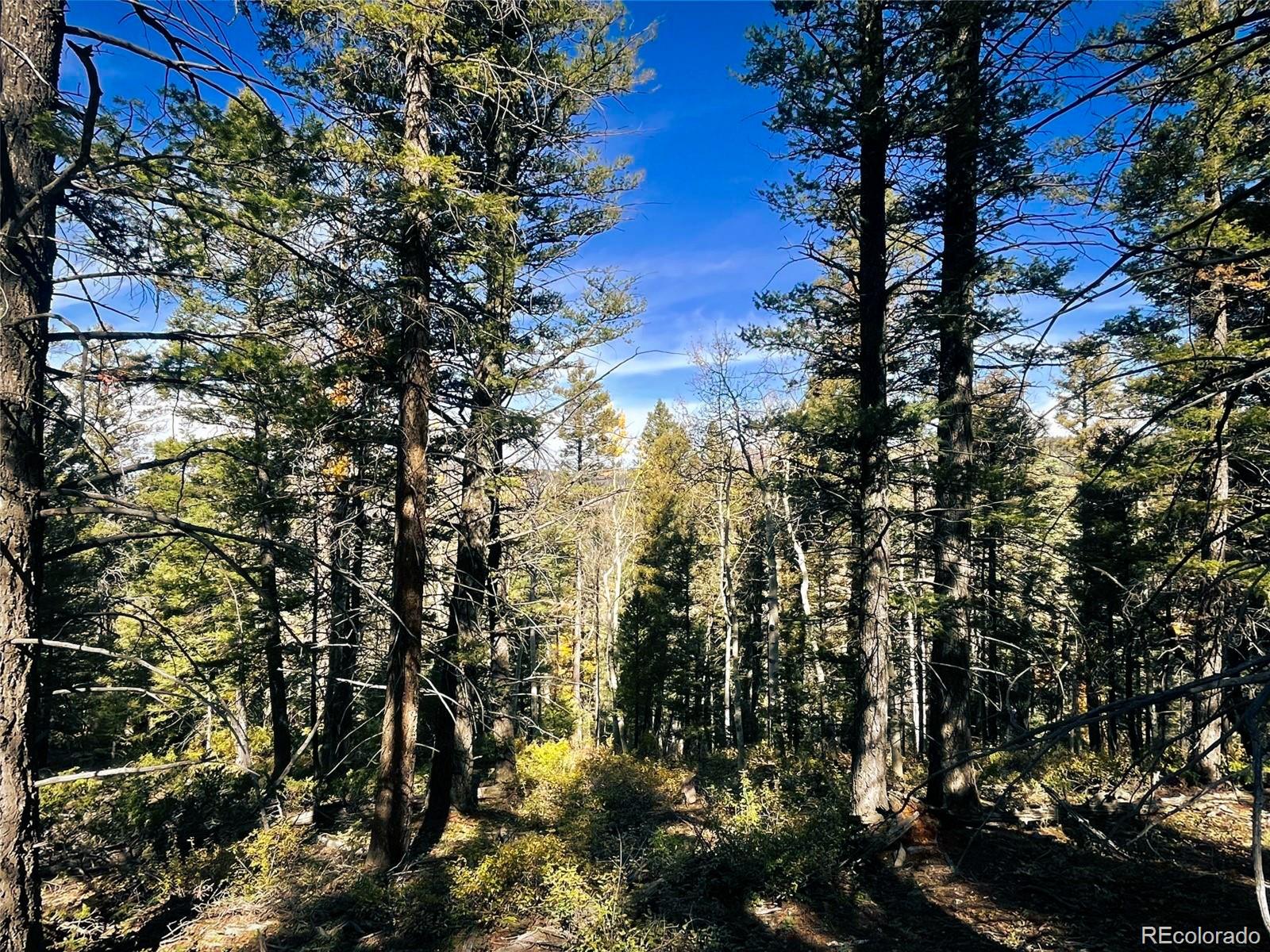 Lot 6187 Starkbeather Road Fort Garland CO 81133