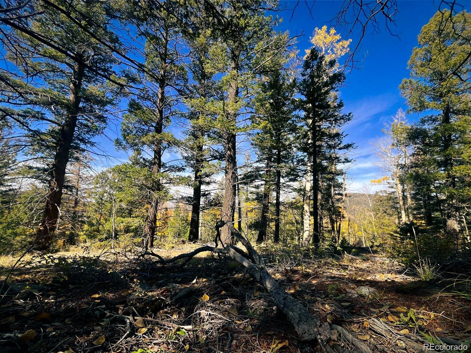 Lot 6187 Starkbeather Road Fort Garland CO 81133