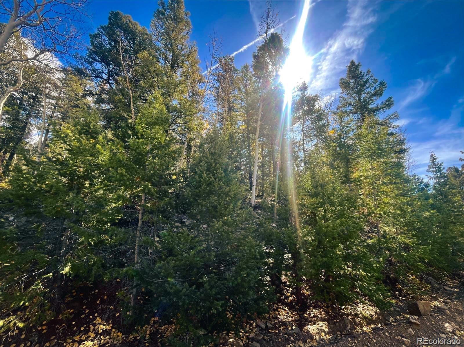 Lot 6187 Starkbeather Road Fort Garland CO 81133