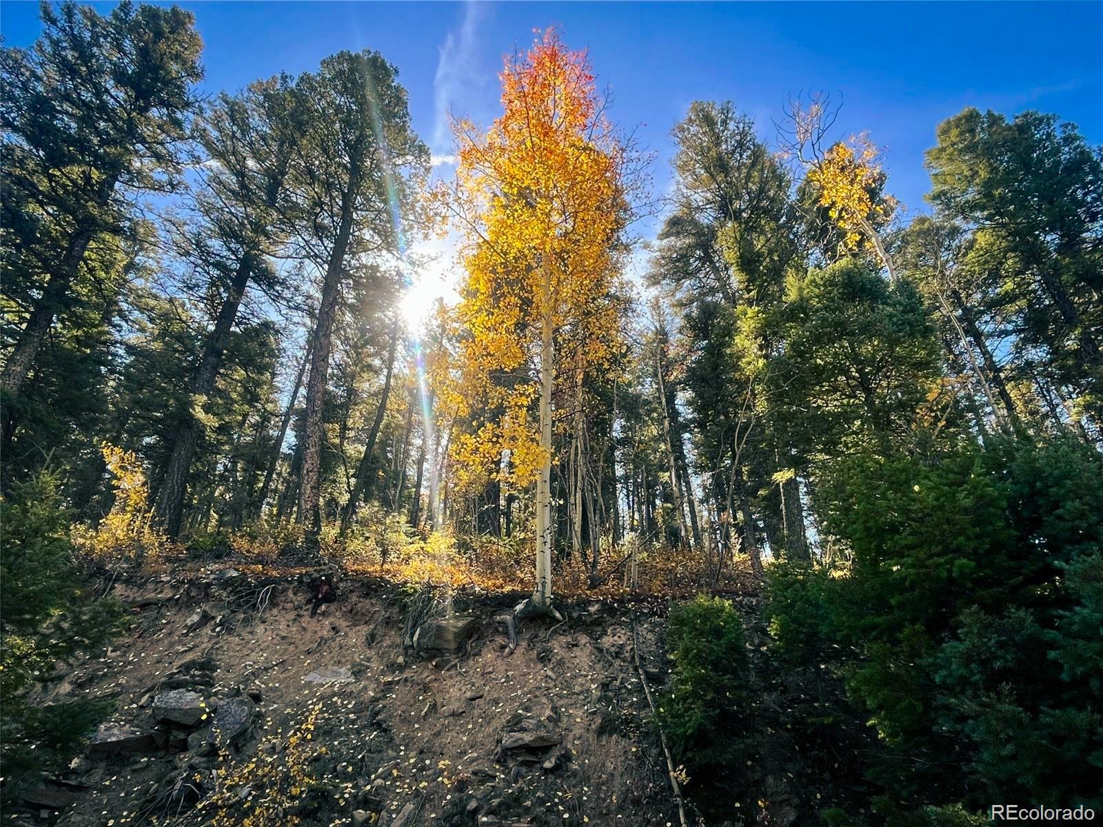 Lot 6187 Starkbeather Road Fort Garland CO 81133