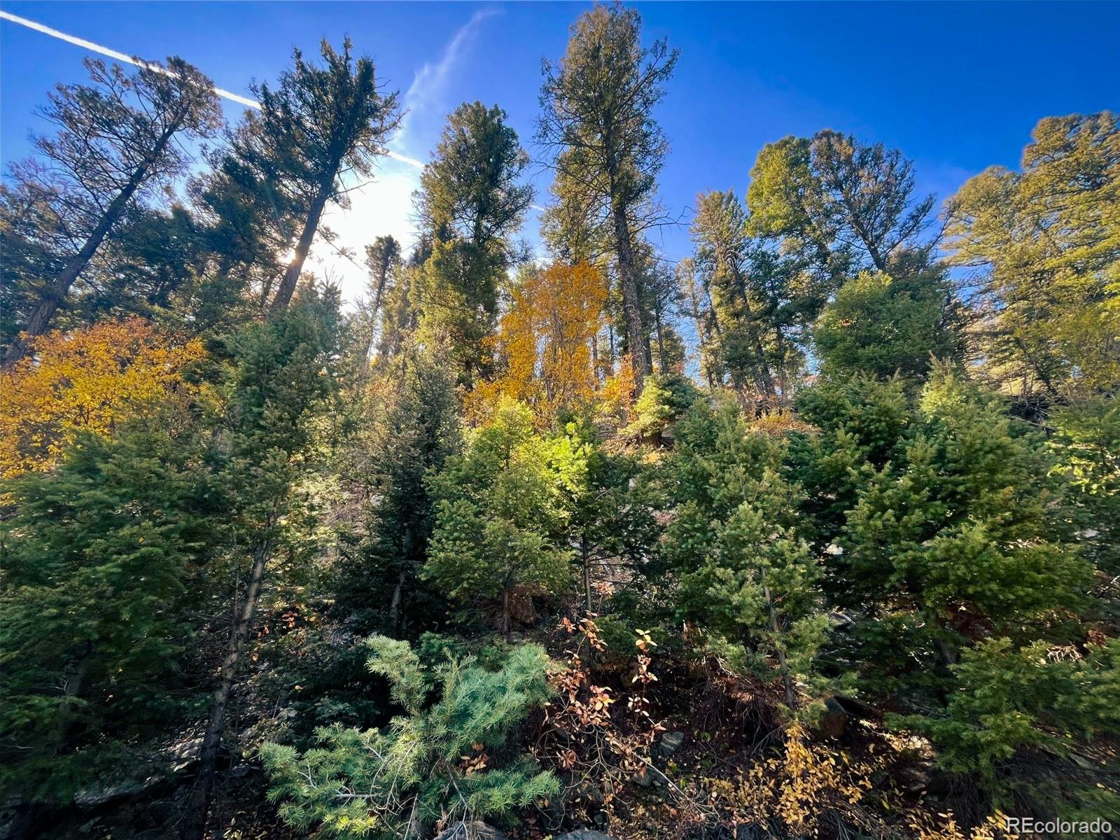 Lot 6187 Starkbeather Road Fort Garland CO 81133