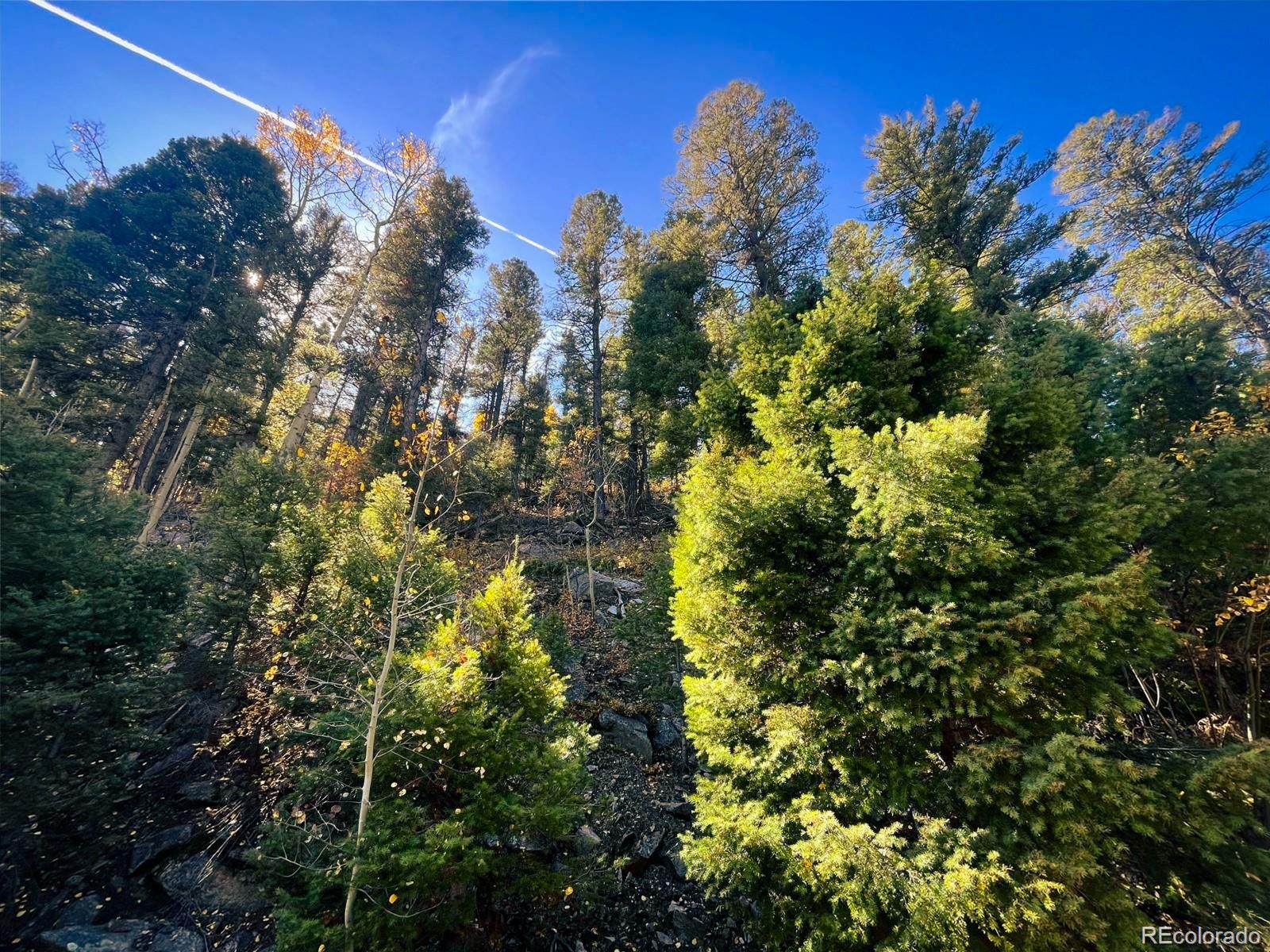 Lot 6187 Starkbeather Road Fort Garland CO 81133