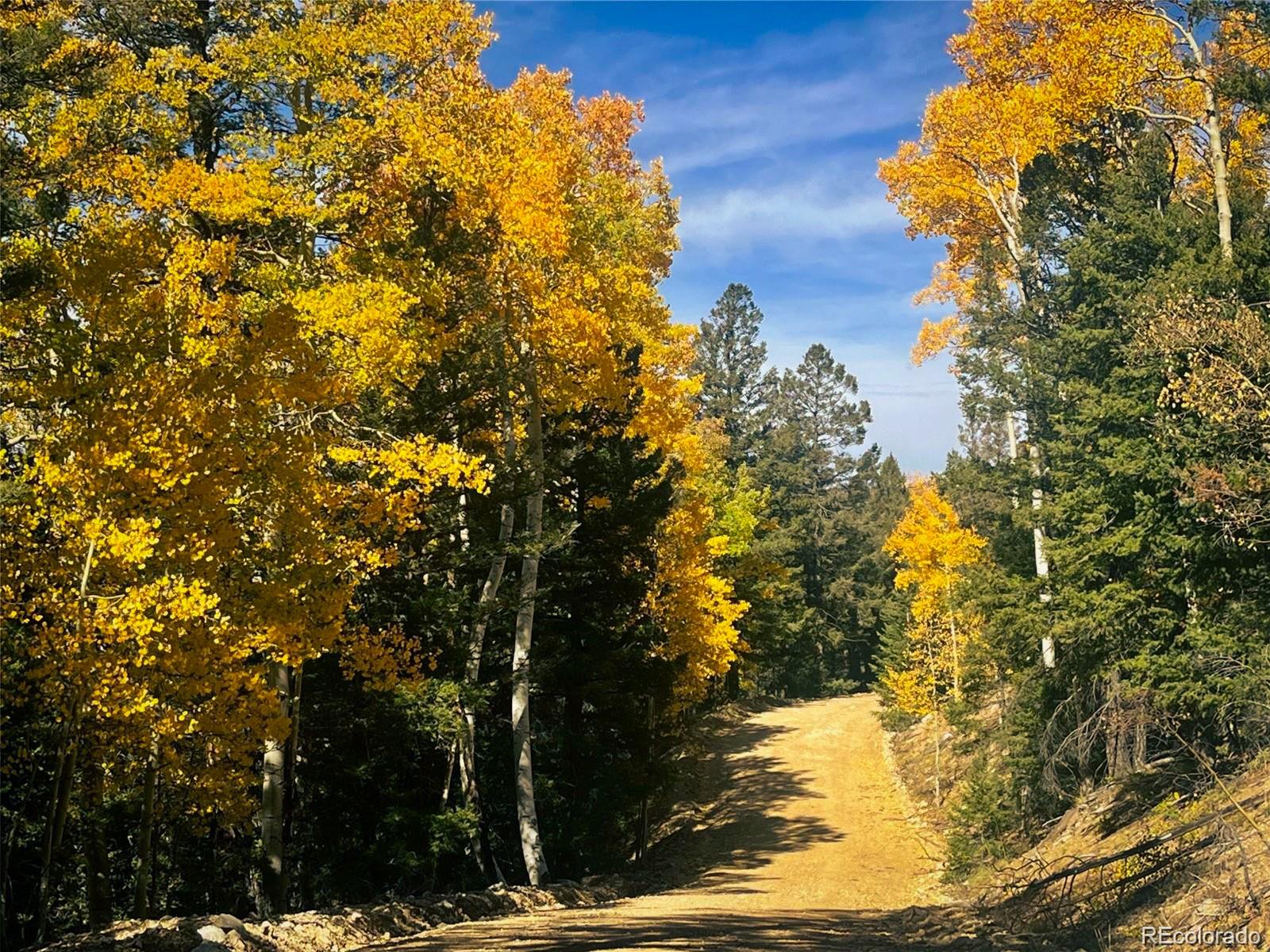 Lot 6187 Starkbeather Road Fort Garland CO 81133