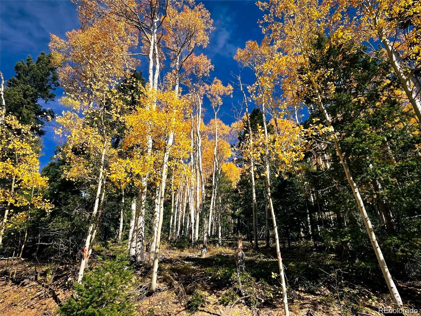 Lot 6187 Starkbeather Road Fort Garland CO 81133