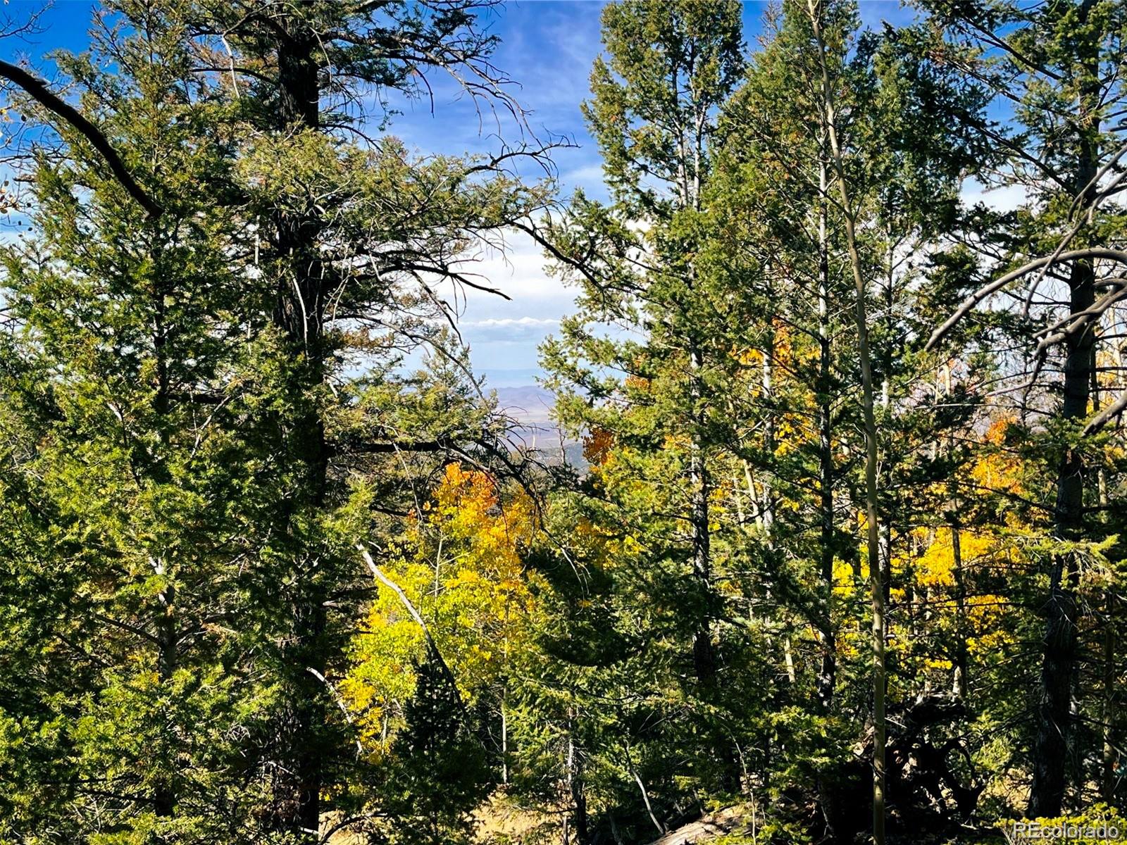 Lot 6187 Starkbeather Road Fort Garland CO 81133