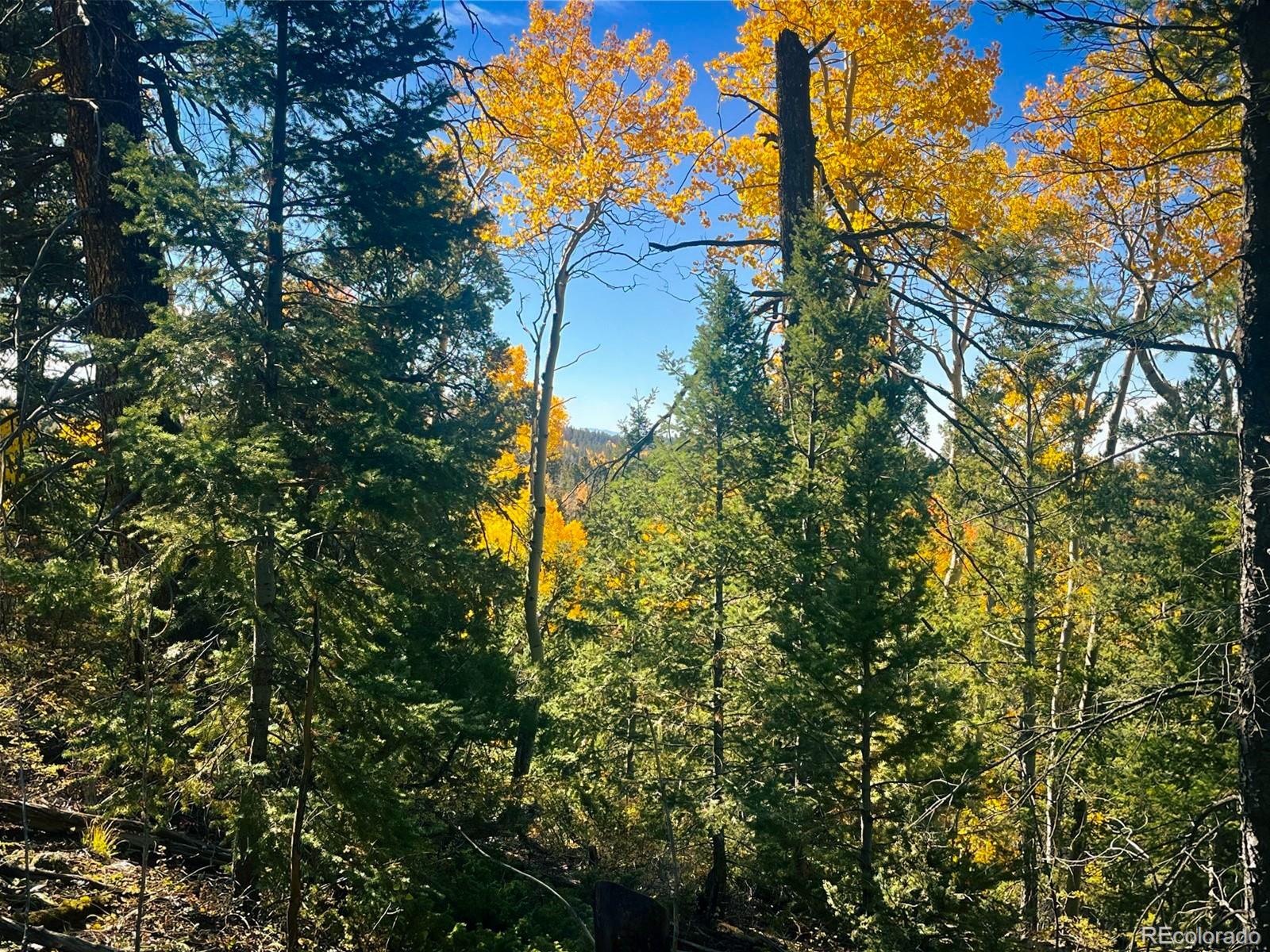 Lot 6187 Starkbeather Road Fort Garland CO 81133