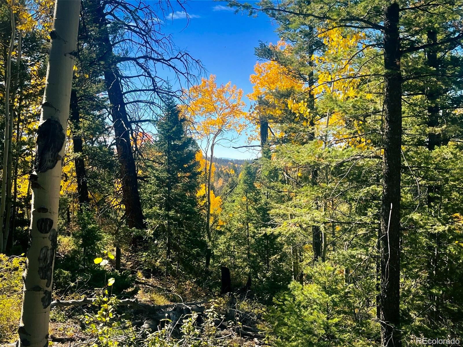 Lot 6187 Starkbeather Road Fort Garland CO 81133