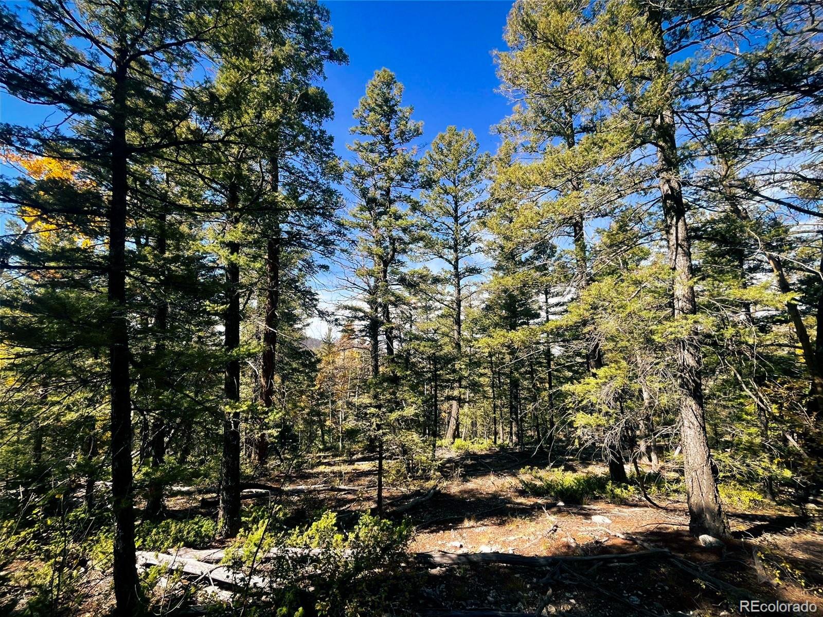 Lot 6187 Starkbeather Road Fort Garland CO 81133