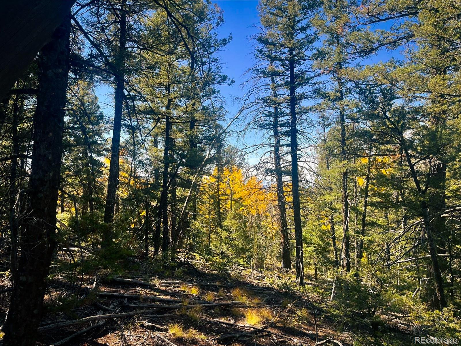 Lot 6187 Starkbeather Road Fort Garland CO 81133