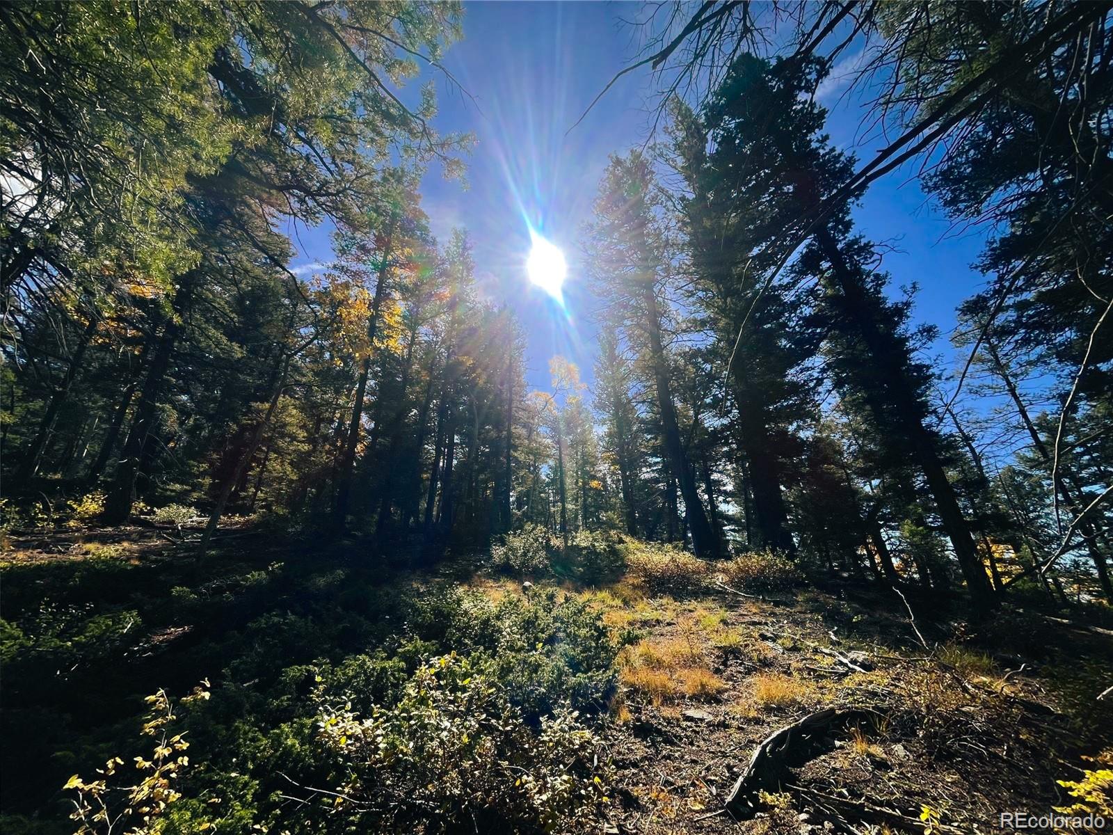 Lot 6187 Starkbeather Road Fort Garland CO 81133
