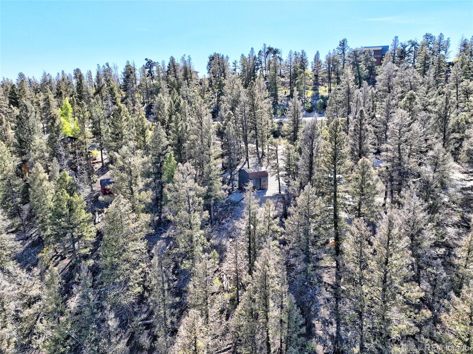 40 Trout Creek Lane Fairplay CO 80440