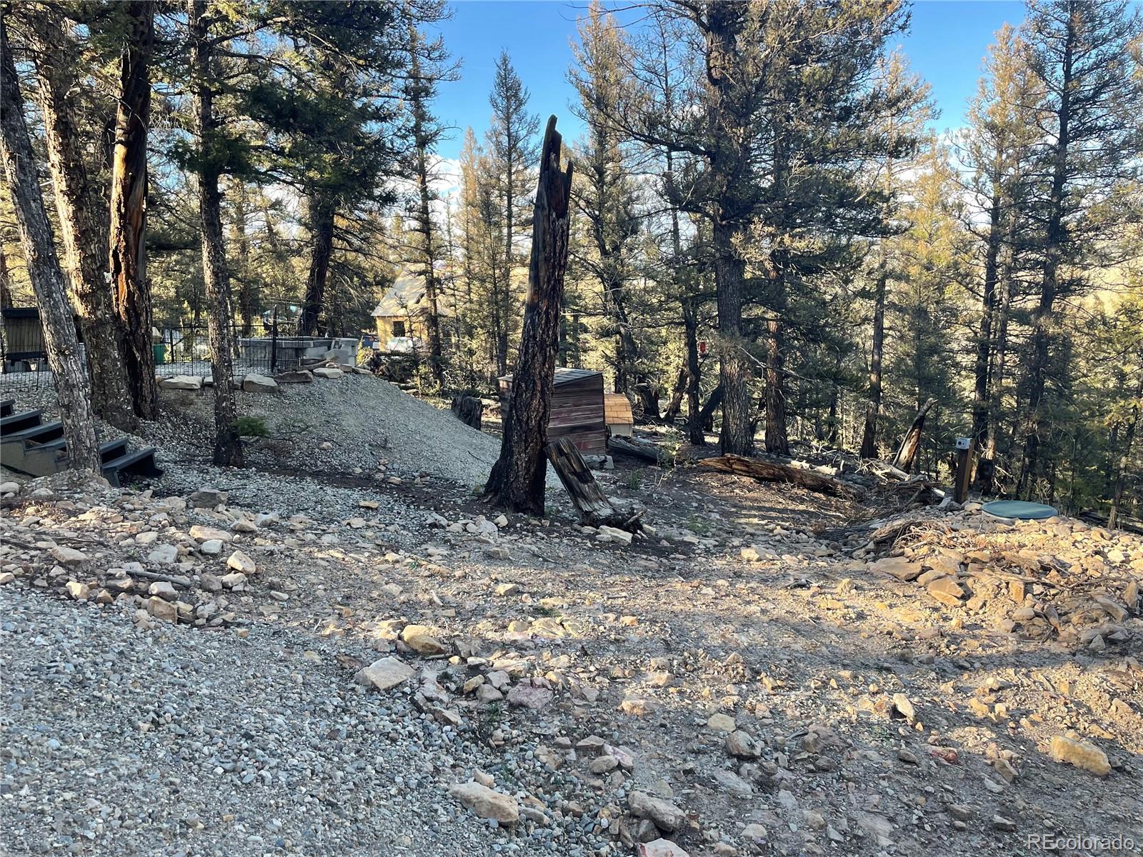 40 Trout Creek Lane Fairplay CO 80440