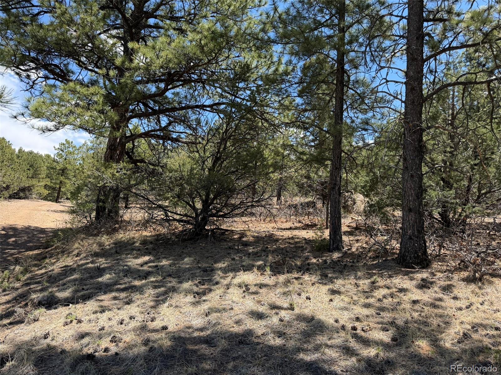 477 Bear Peak Road Westcliffe CO 81252