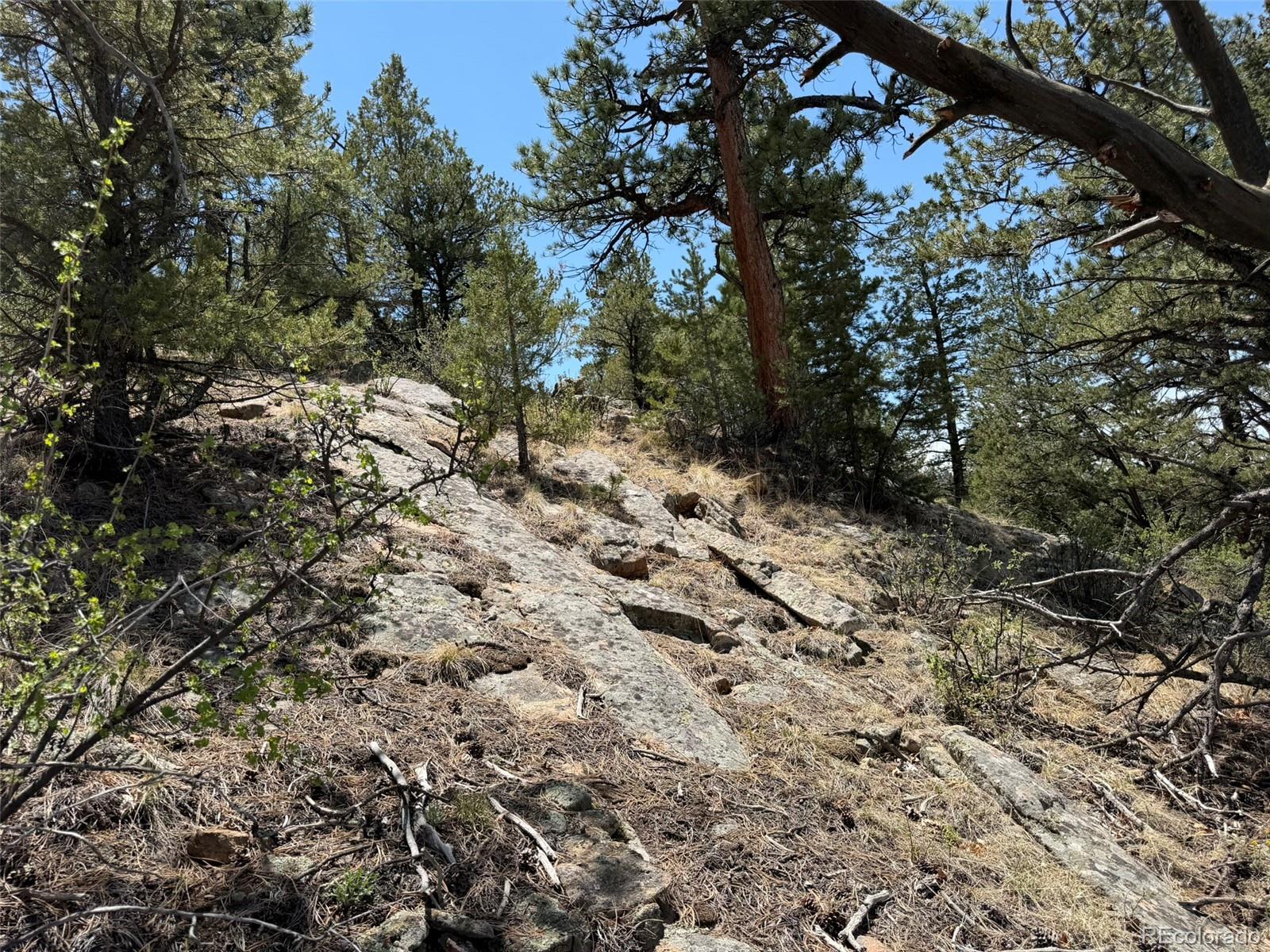 477 Bear Peak Road Westcliffe CO 81252