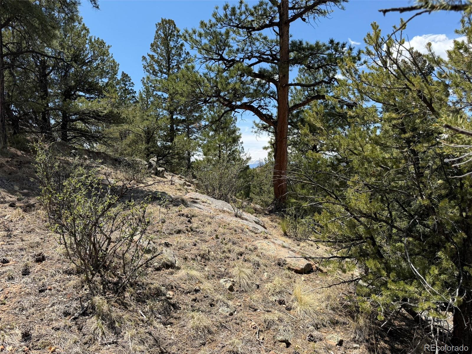 477 Bear Peak Road Westcliffe CO 81252