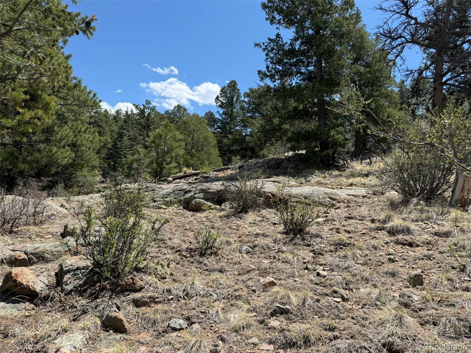 477 Bear Peak Road Westcliffe CO 81252