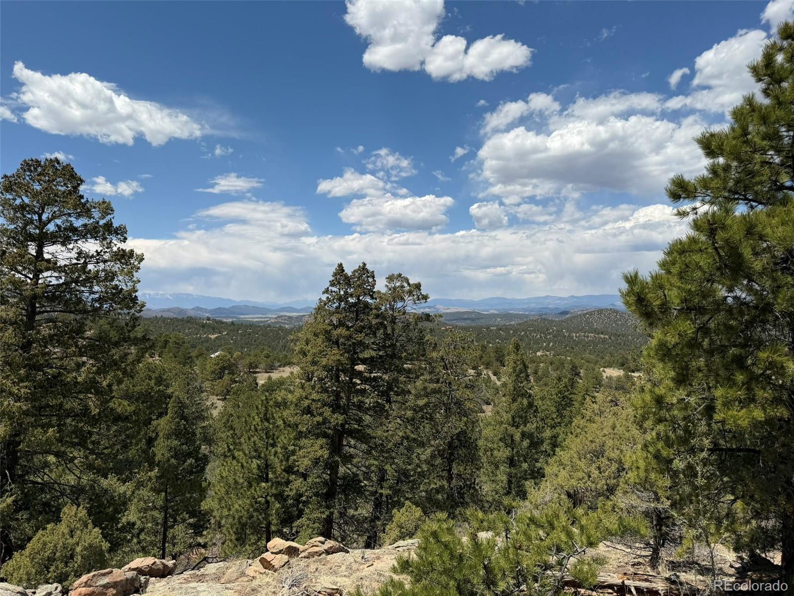 477 Bear Peak Road Westcliffe CO 81252