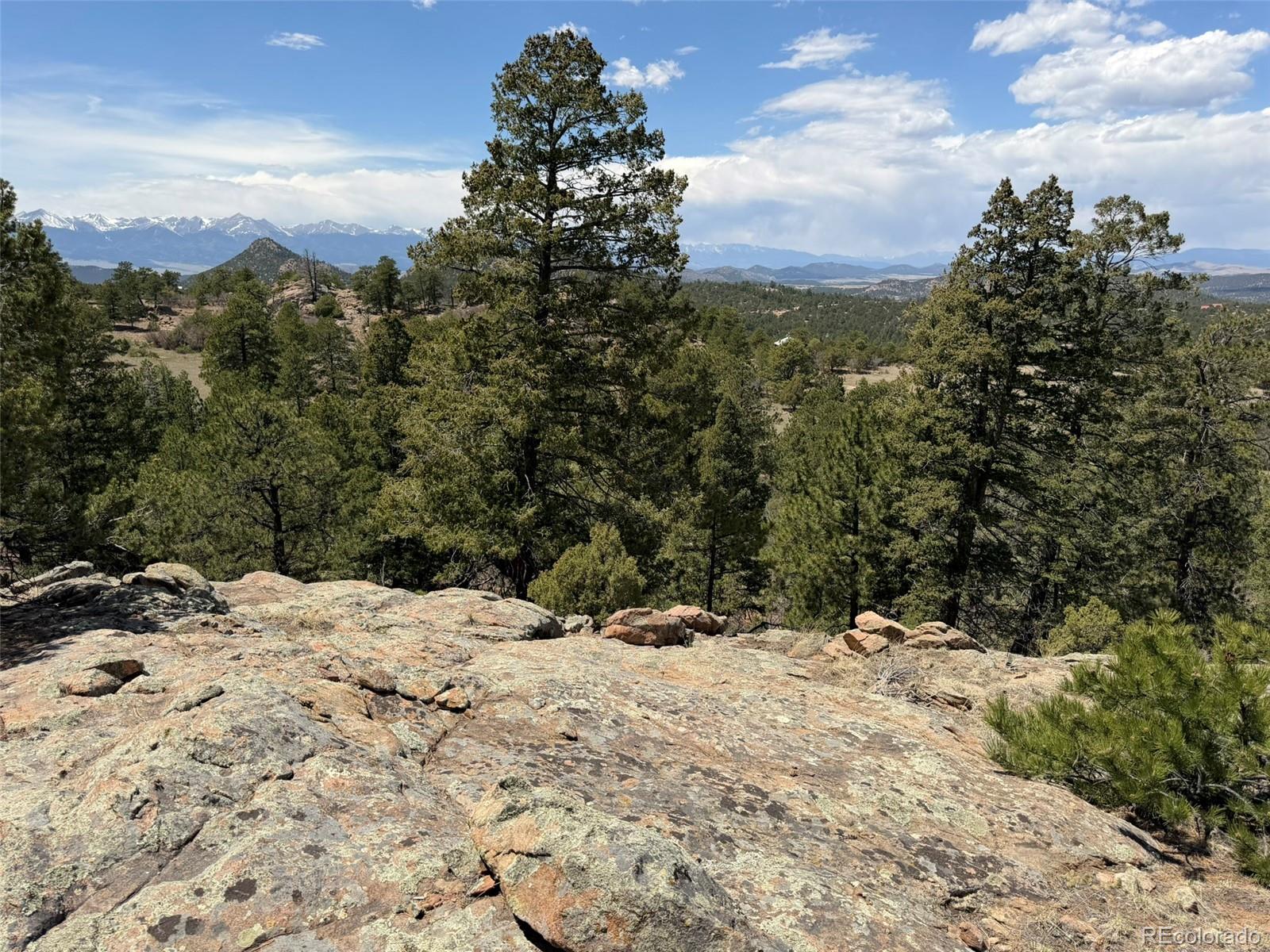 477 Bear Peak Road Westcliffe CO 81252