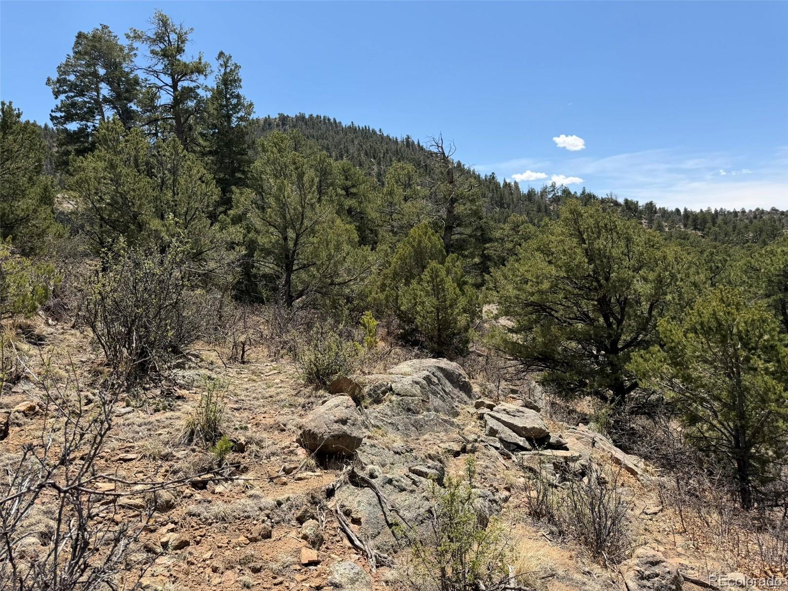 477 Bear Peak Road Westcliffe CO 81252