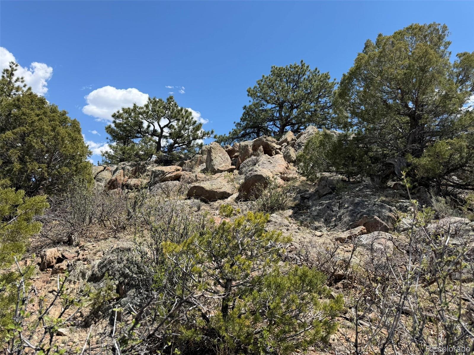 477 Bear Peak Road Westcliffe CO 81252