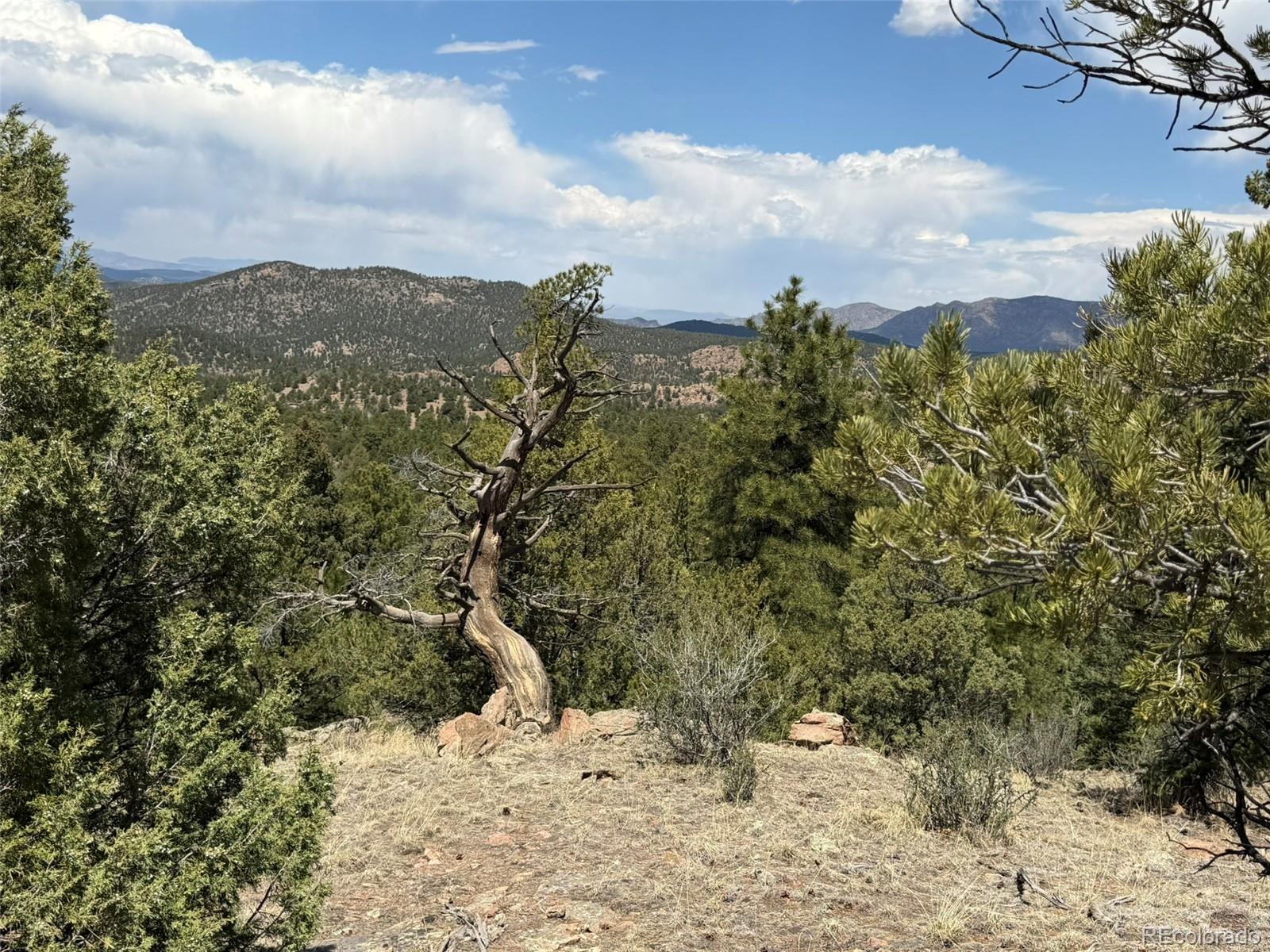 477 Bear Peak Road Westcliffe CO 81252