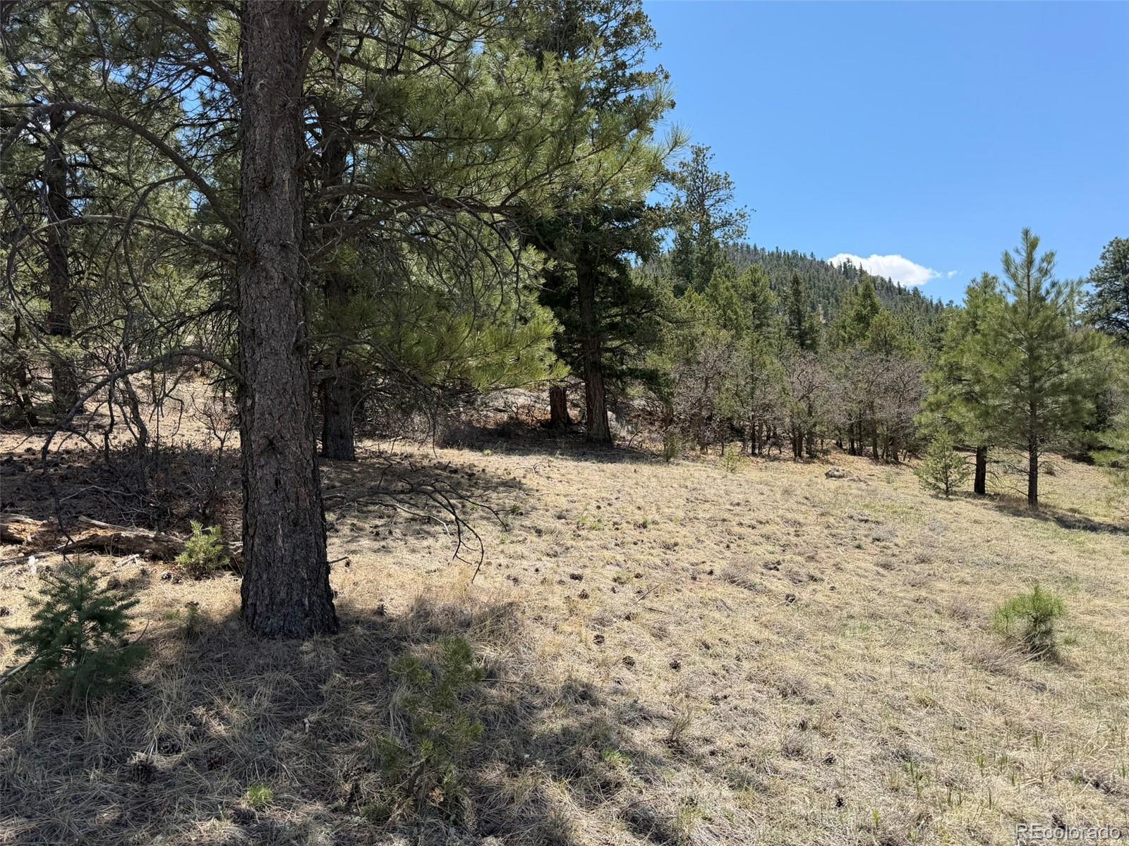 477 Bear Peak Road Westcliffe CO 81252