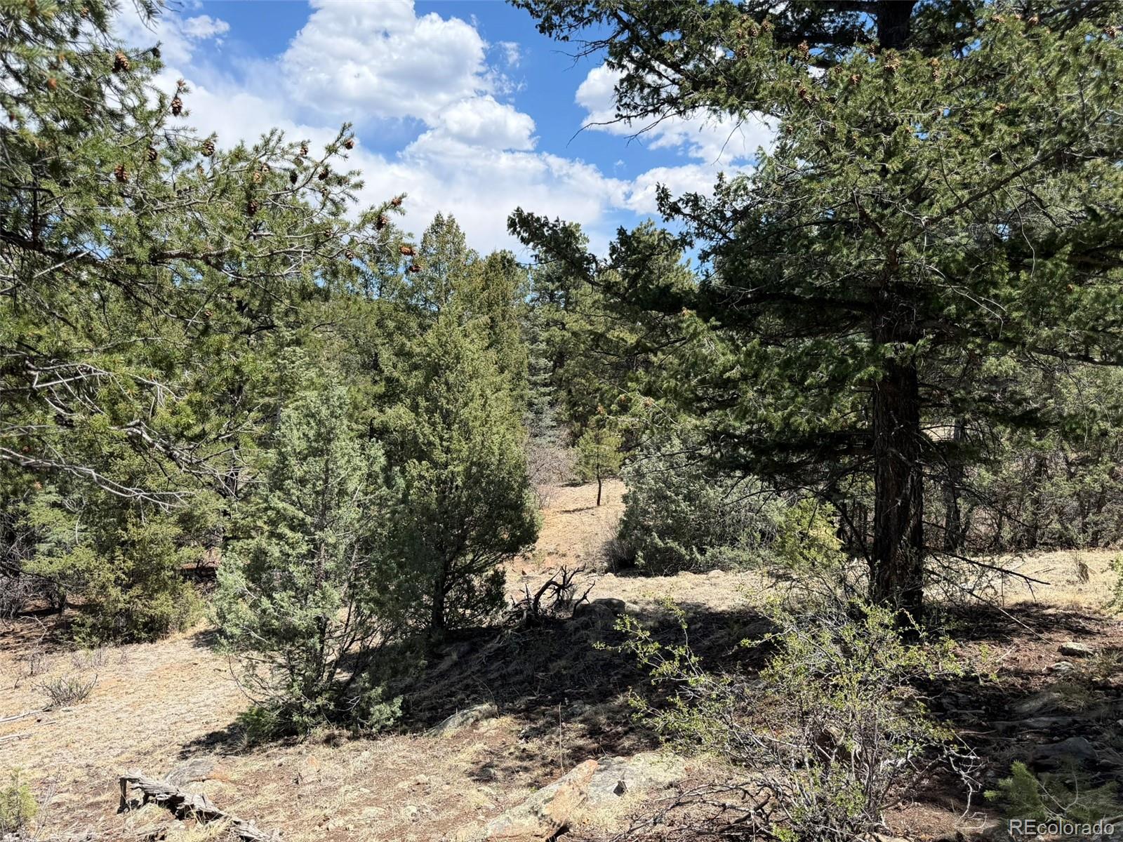 477 Bear Peak Road Westcliffe CO 81252