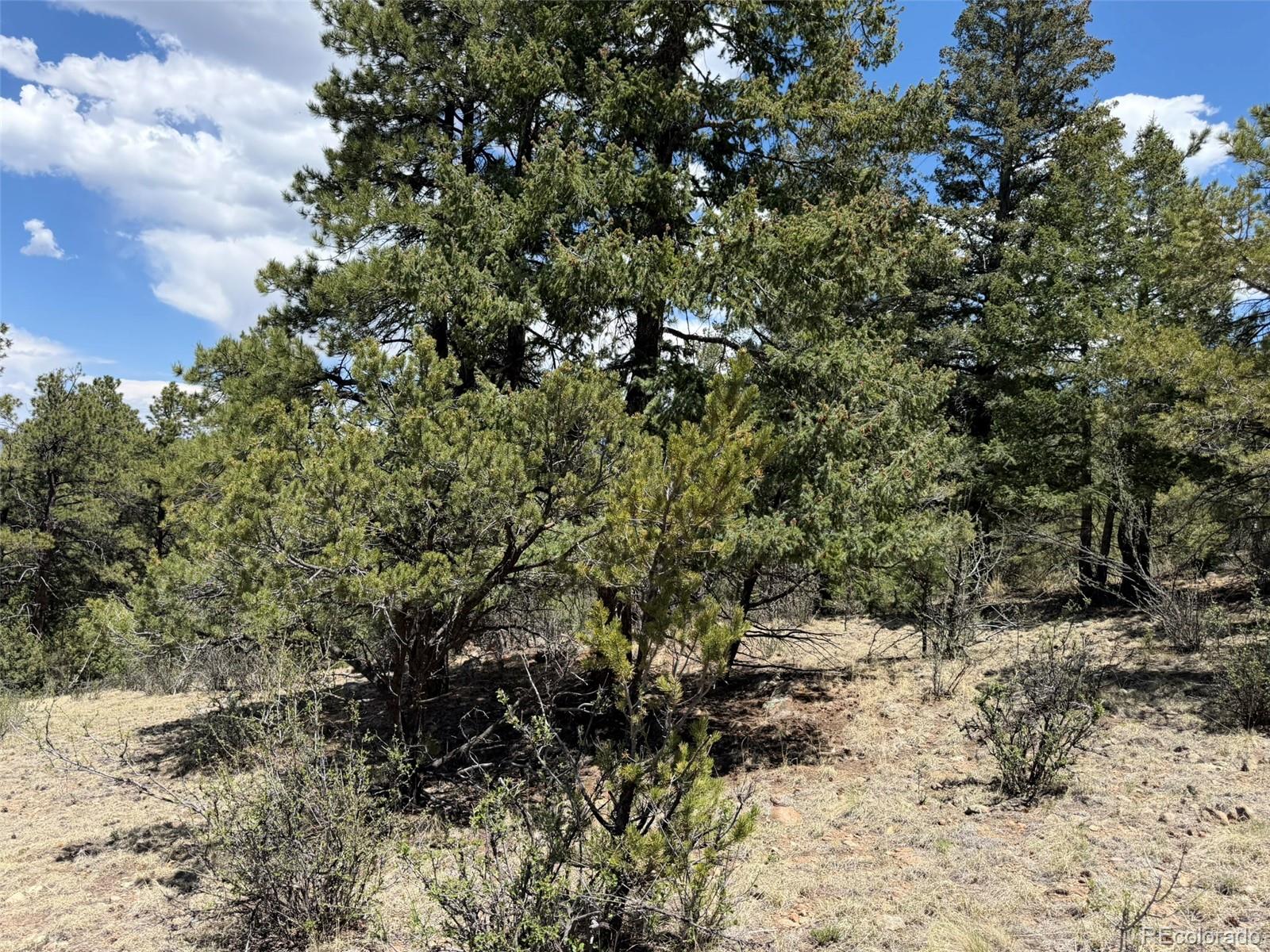 477 Bear Peak Road Westcliffe CO 81252