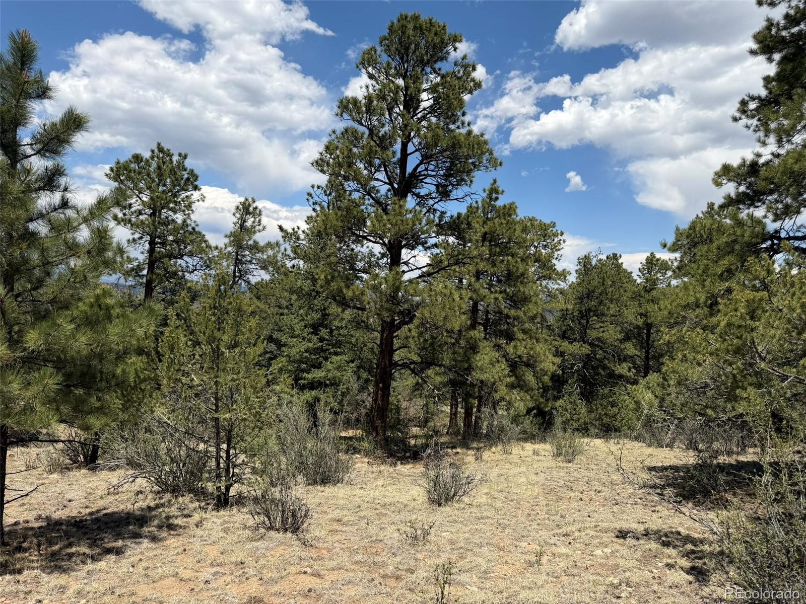477 Bear Peak Road Westcliffe CO 81252